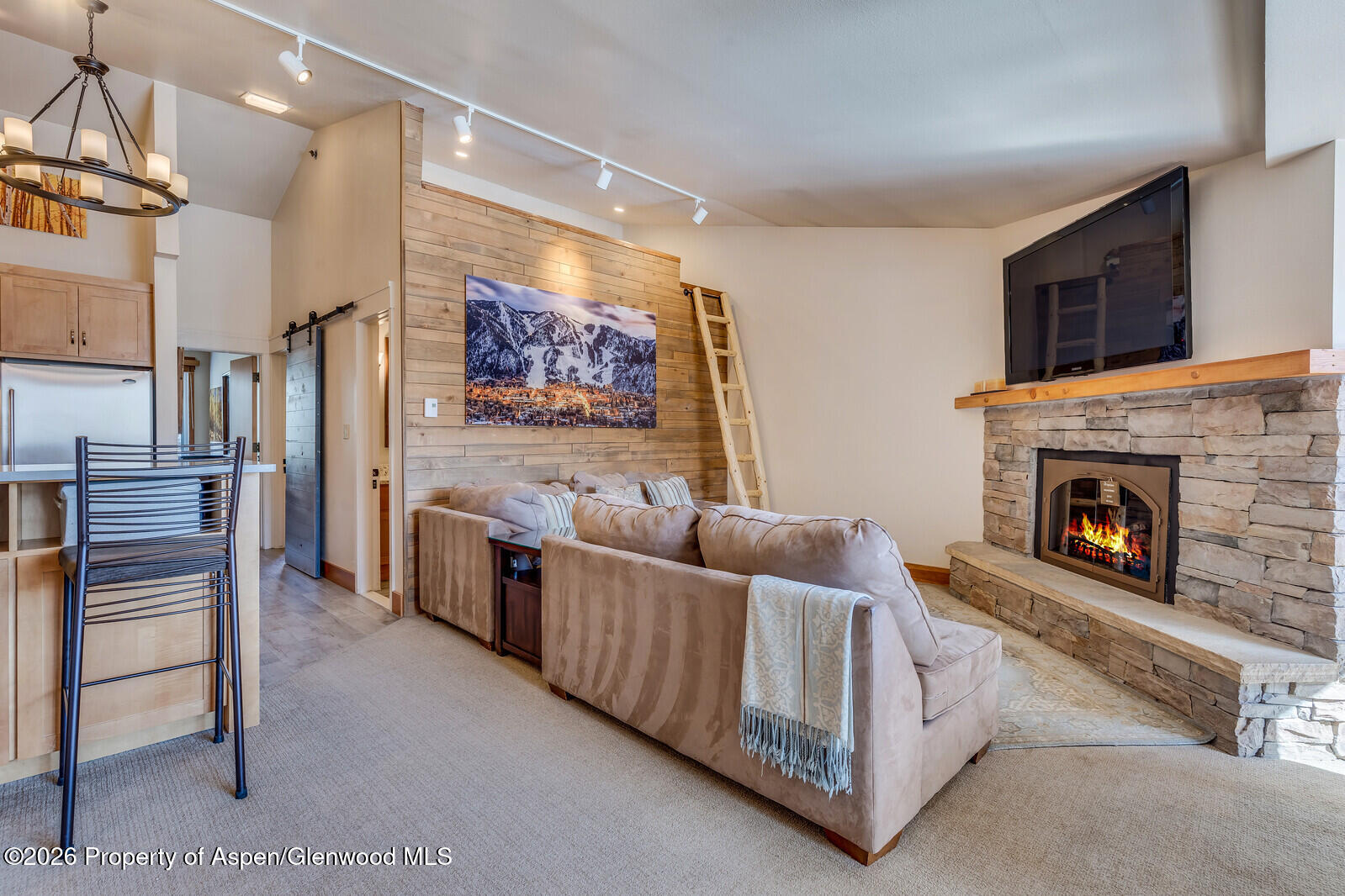 65 Campground Lane Snowmass Village CO 81615