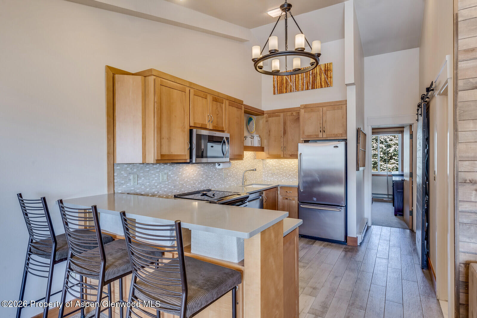 65 Campground Lane Snowmass Village CO 81615