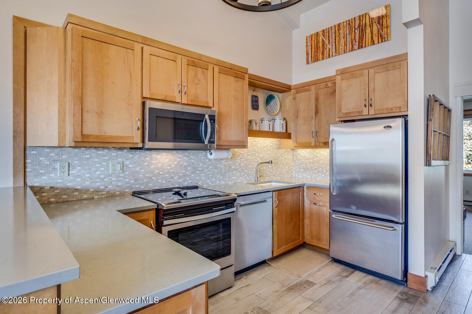 65 Campground Lane Snowmass Village CO 81615