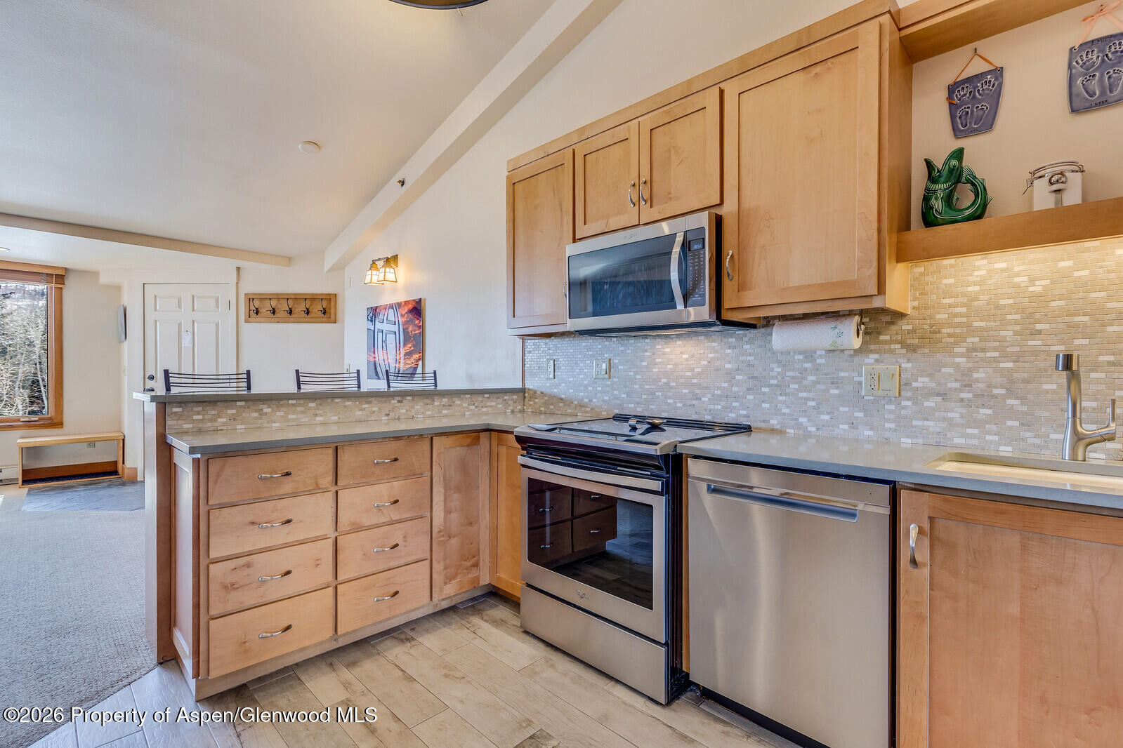 65 Campground Lane Snowmass Village CO 81615