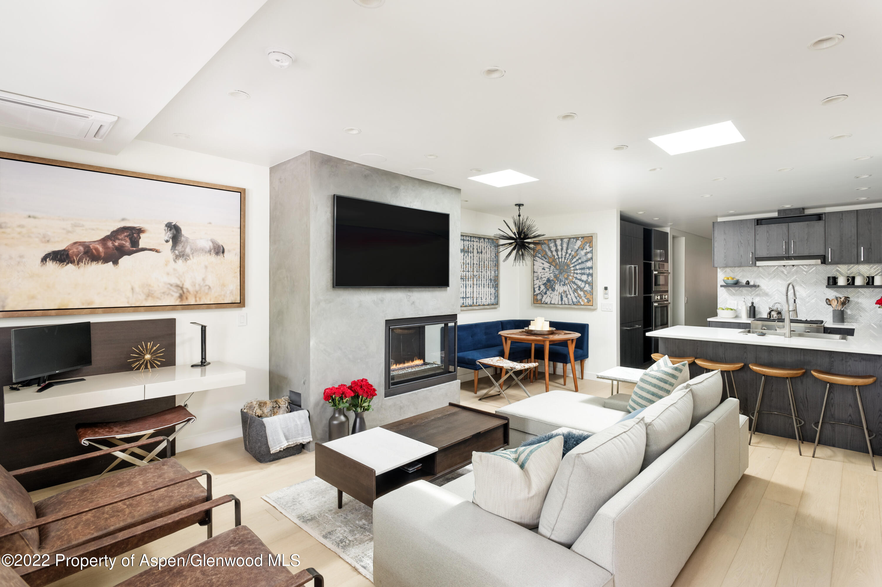 450 S Original Street Aspen CO 81611