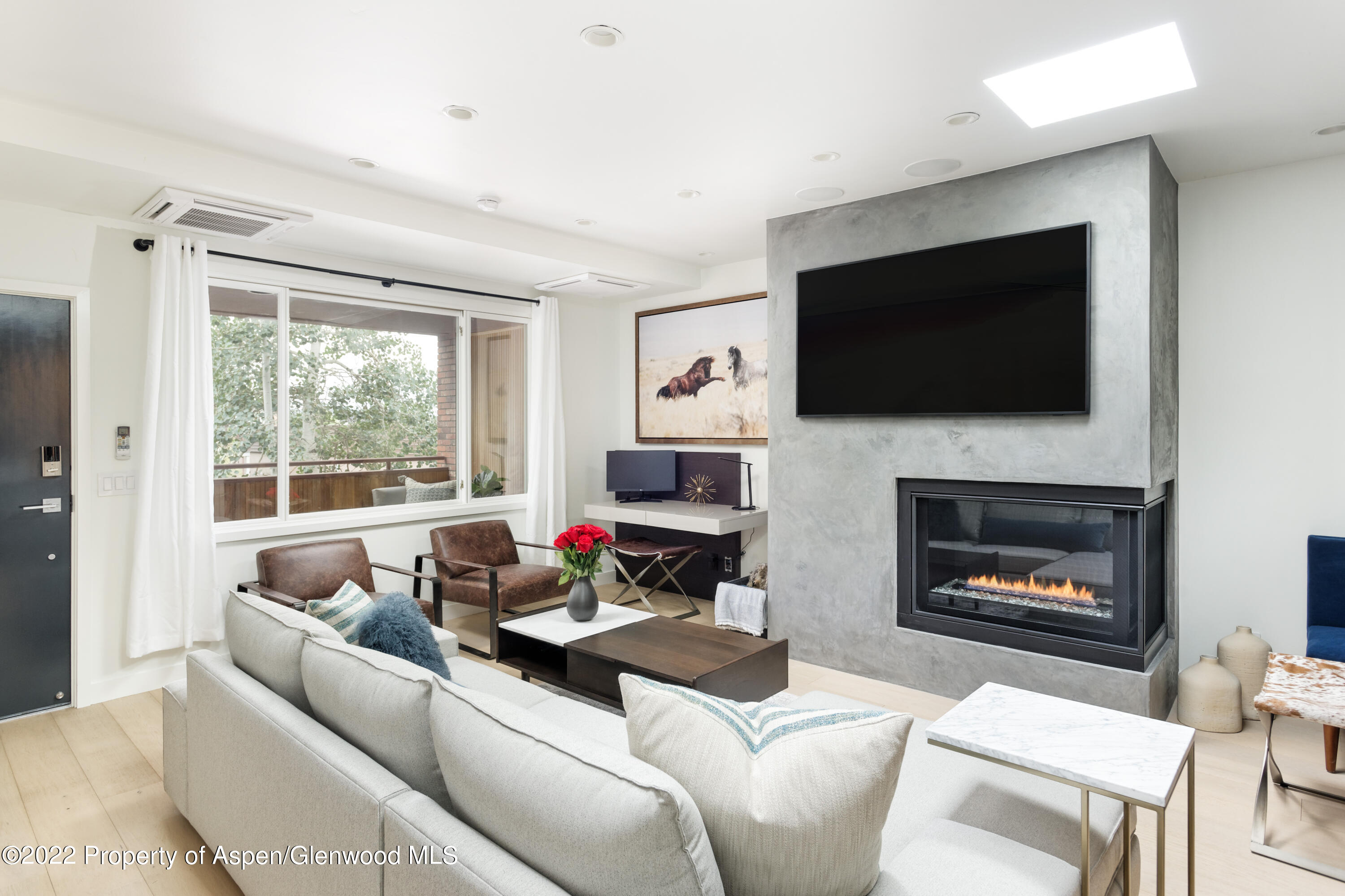 450 S Original Street Aspen CO 81611