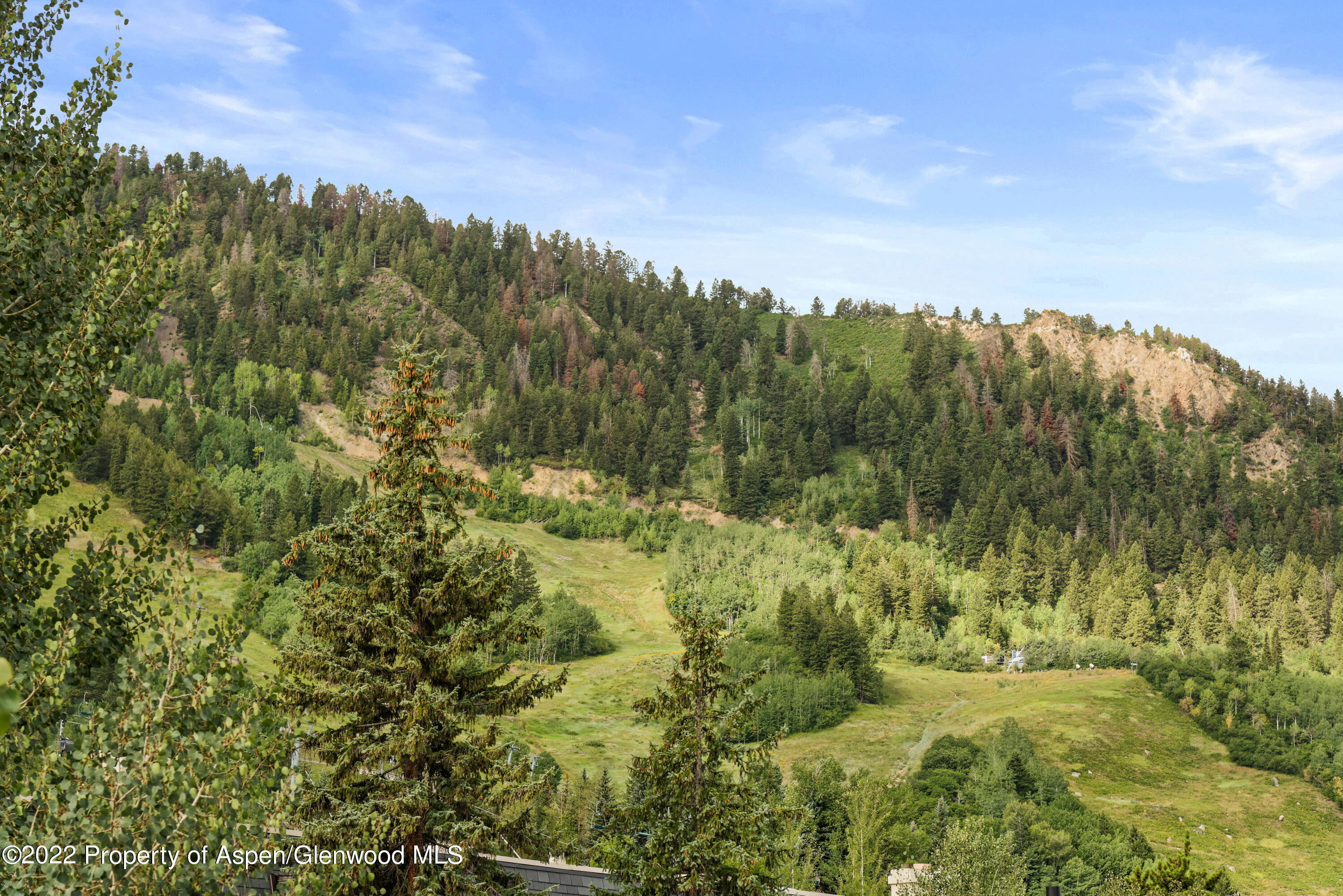 450 S Original Street Aspen CO 81611