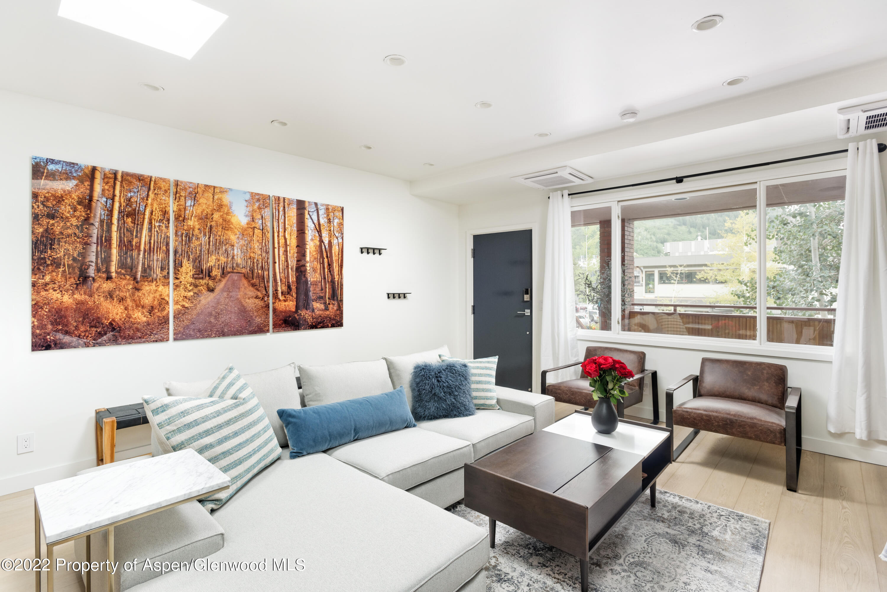 450 S Original Street Aspen CO 81611