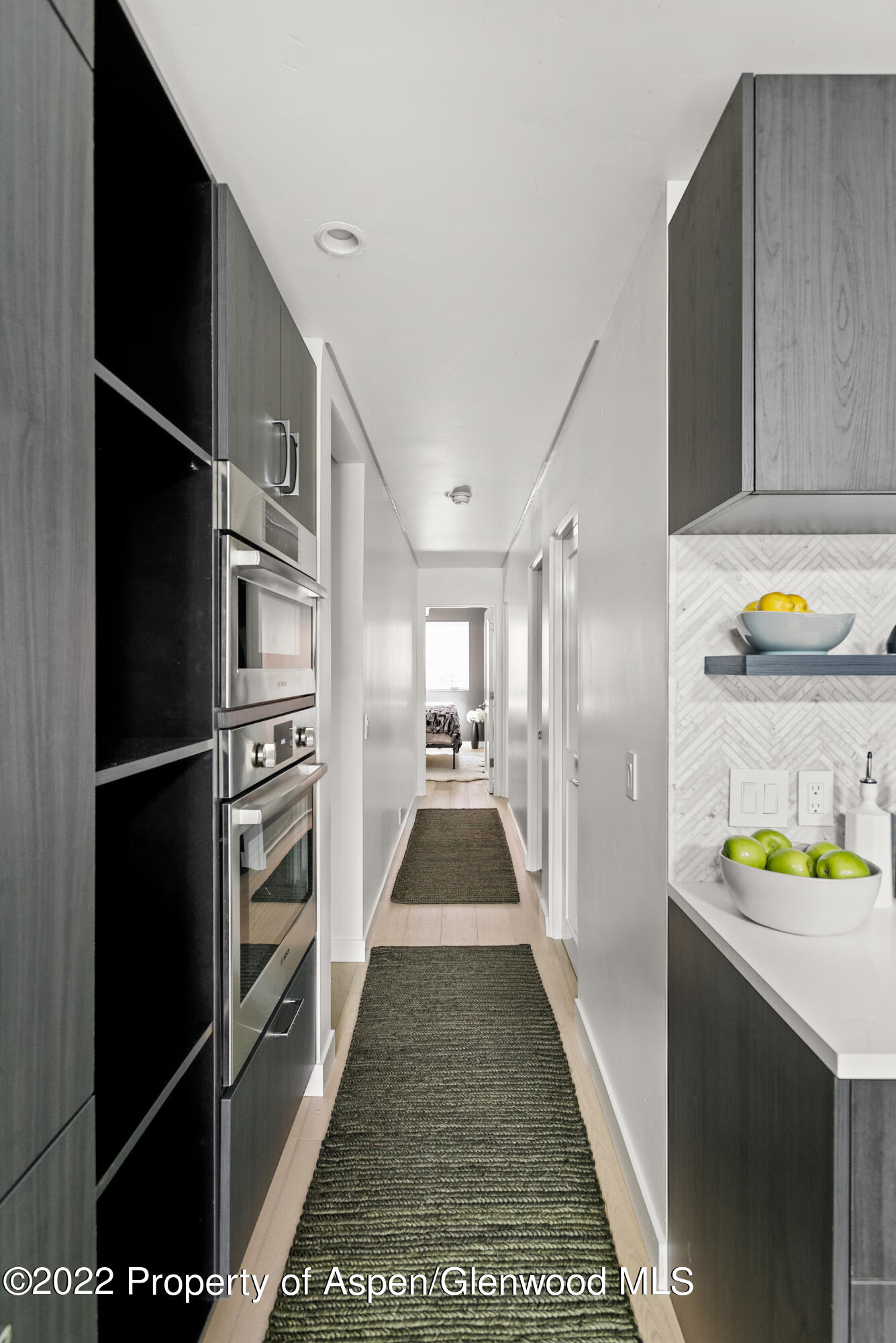 450 S Original Street Aspen CO 81611