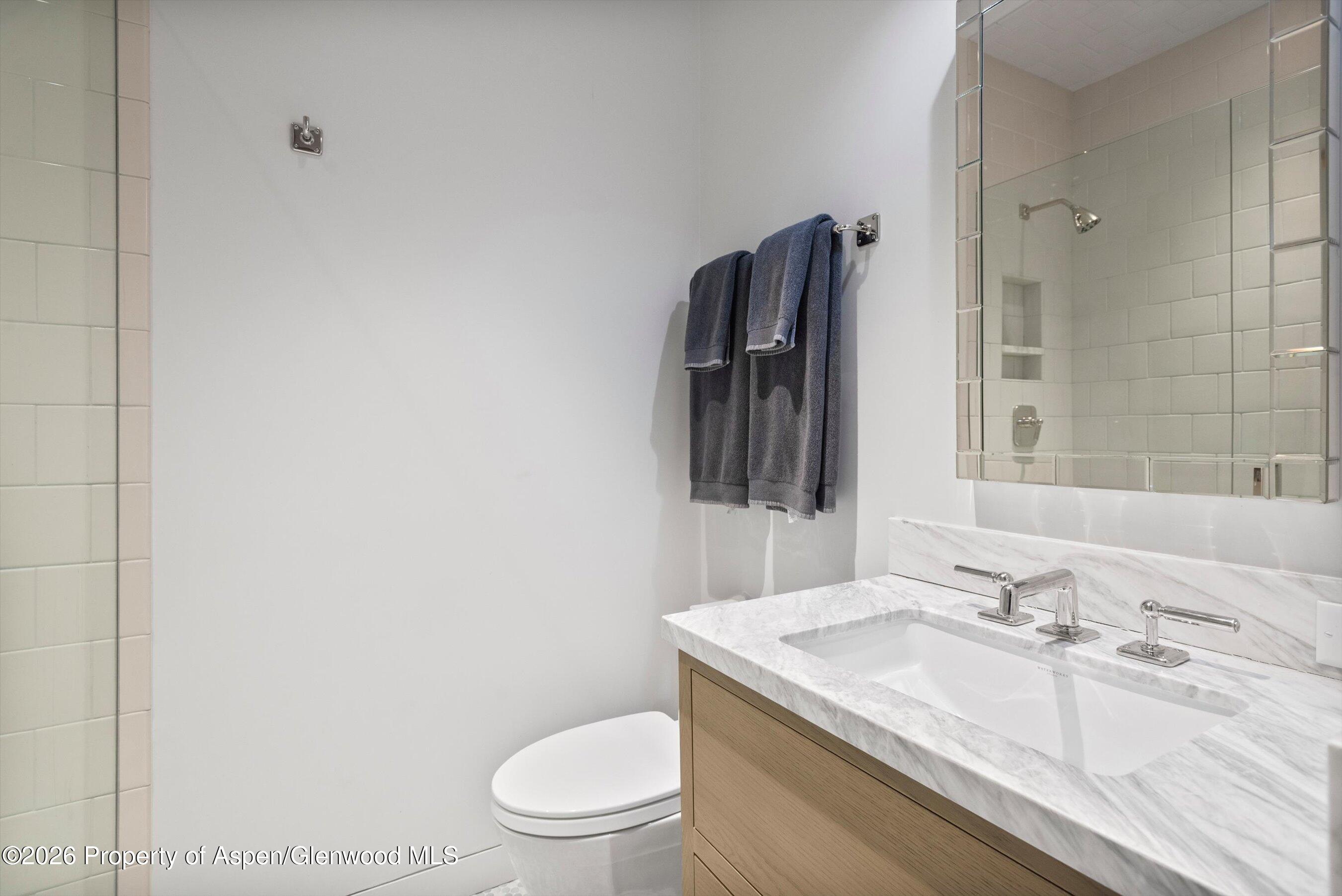 614 W North Street Aspen CO 81611