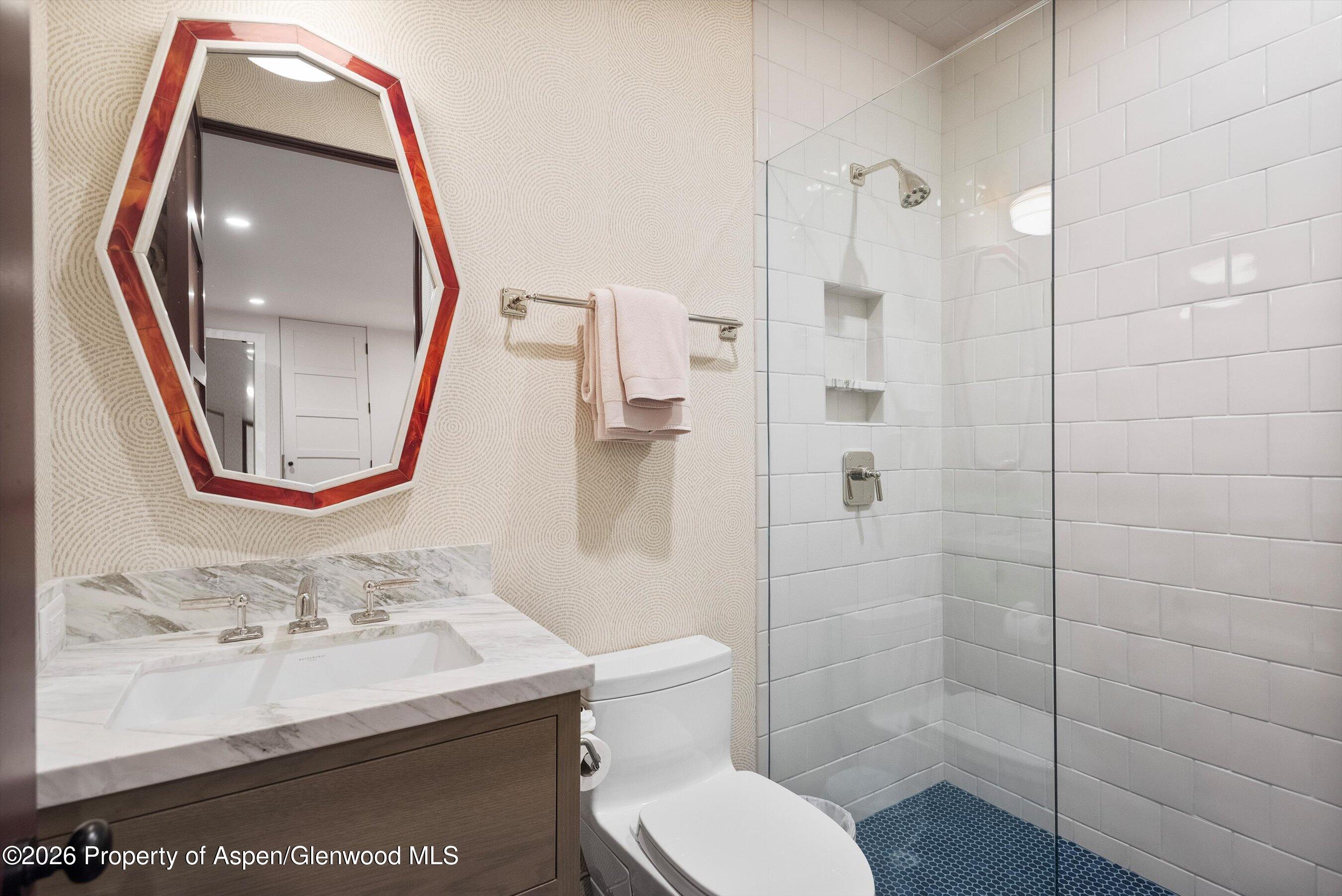 614 W North Street Aspen CO 81611