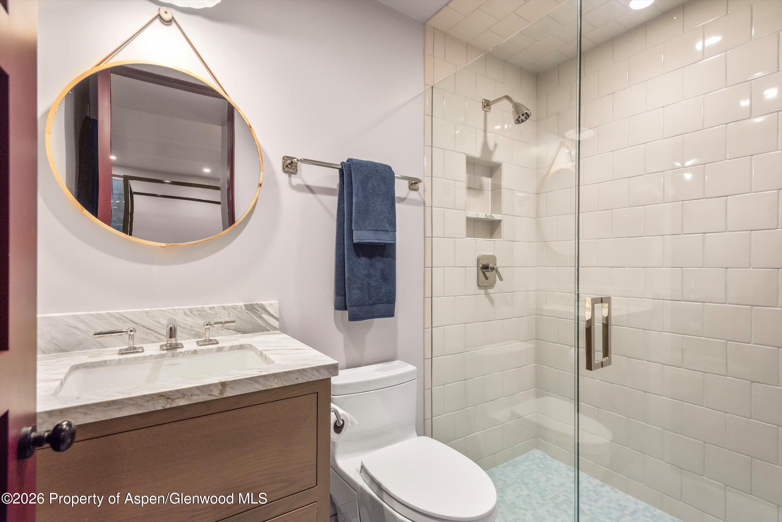 614 W North Street Aspen CO 81611