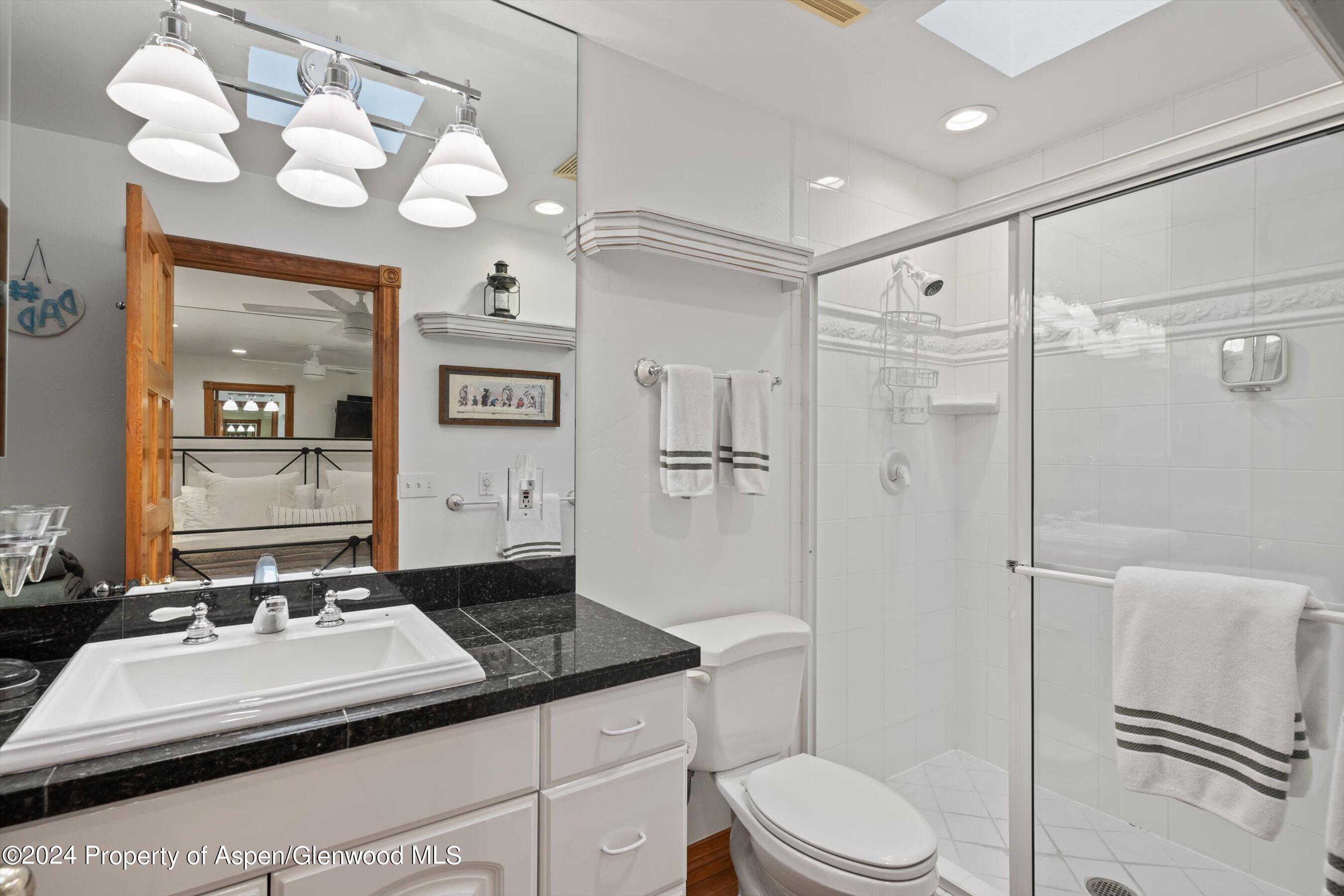 124 E Durant Avenue Aspen CO 81611