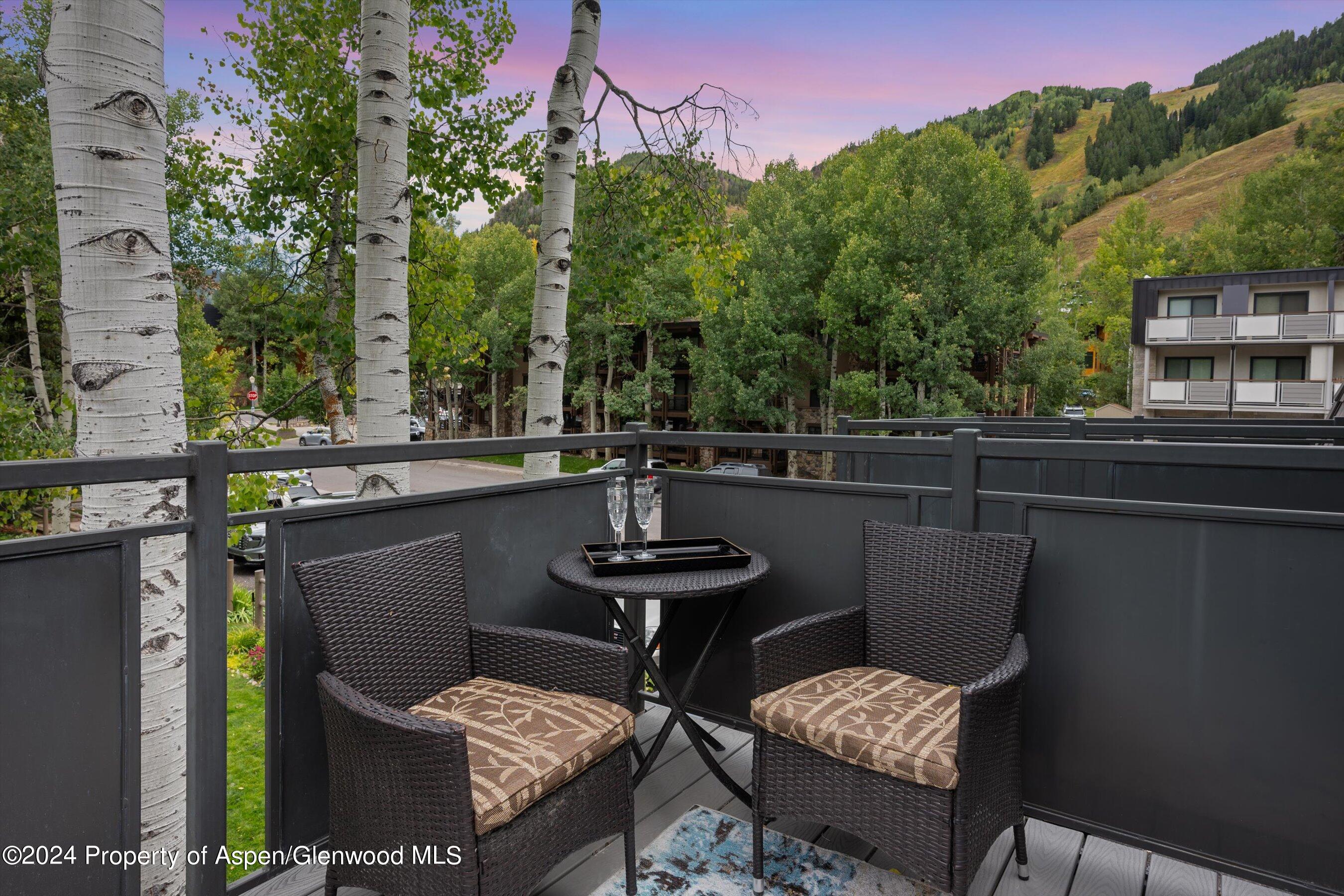 124 E Durant Avenue Aspen CO 81611