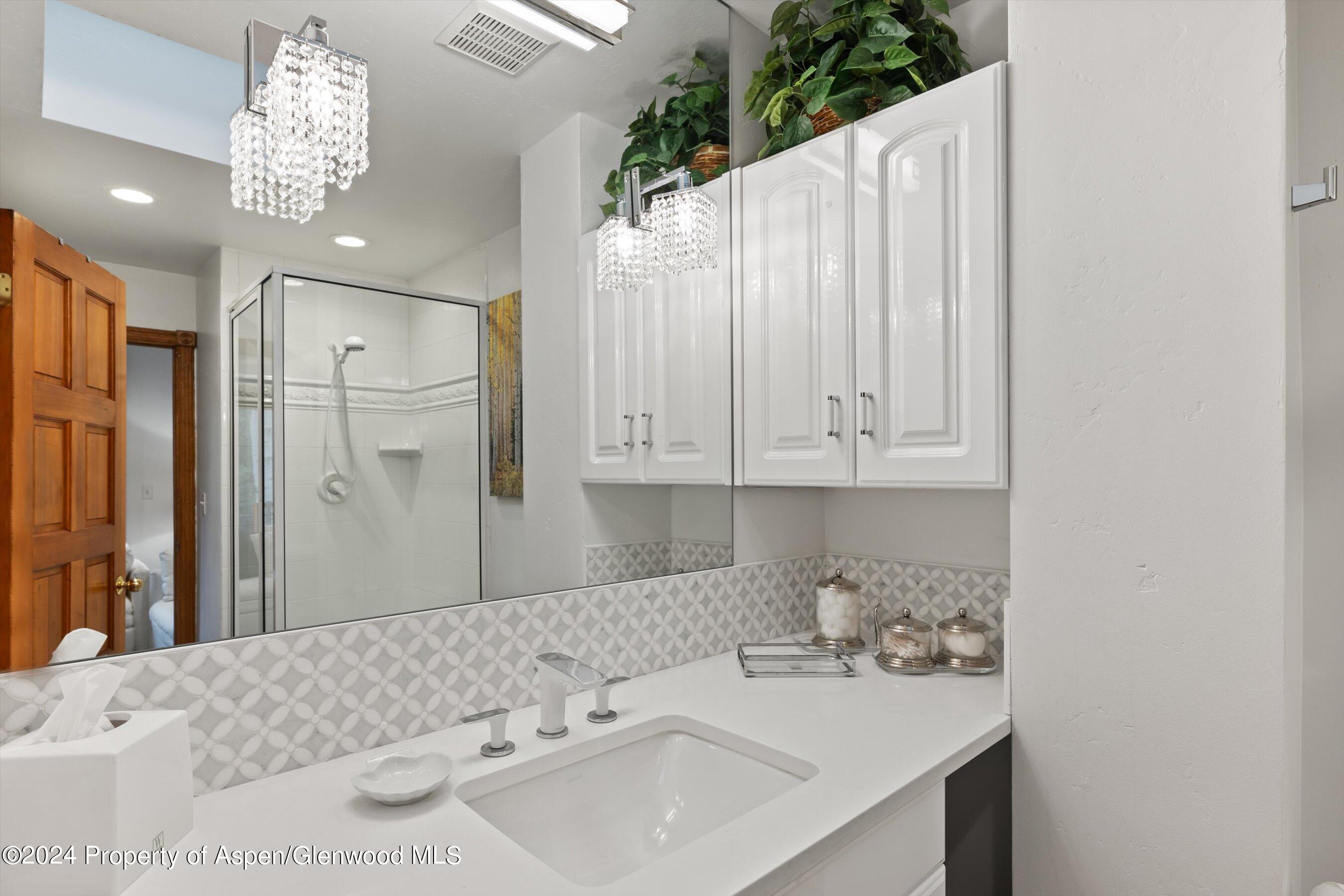 124 E Durant Avenue Aspen CO 81611