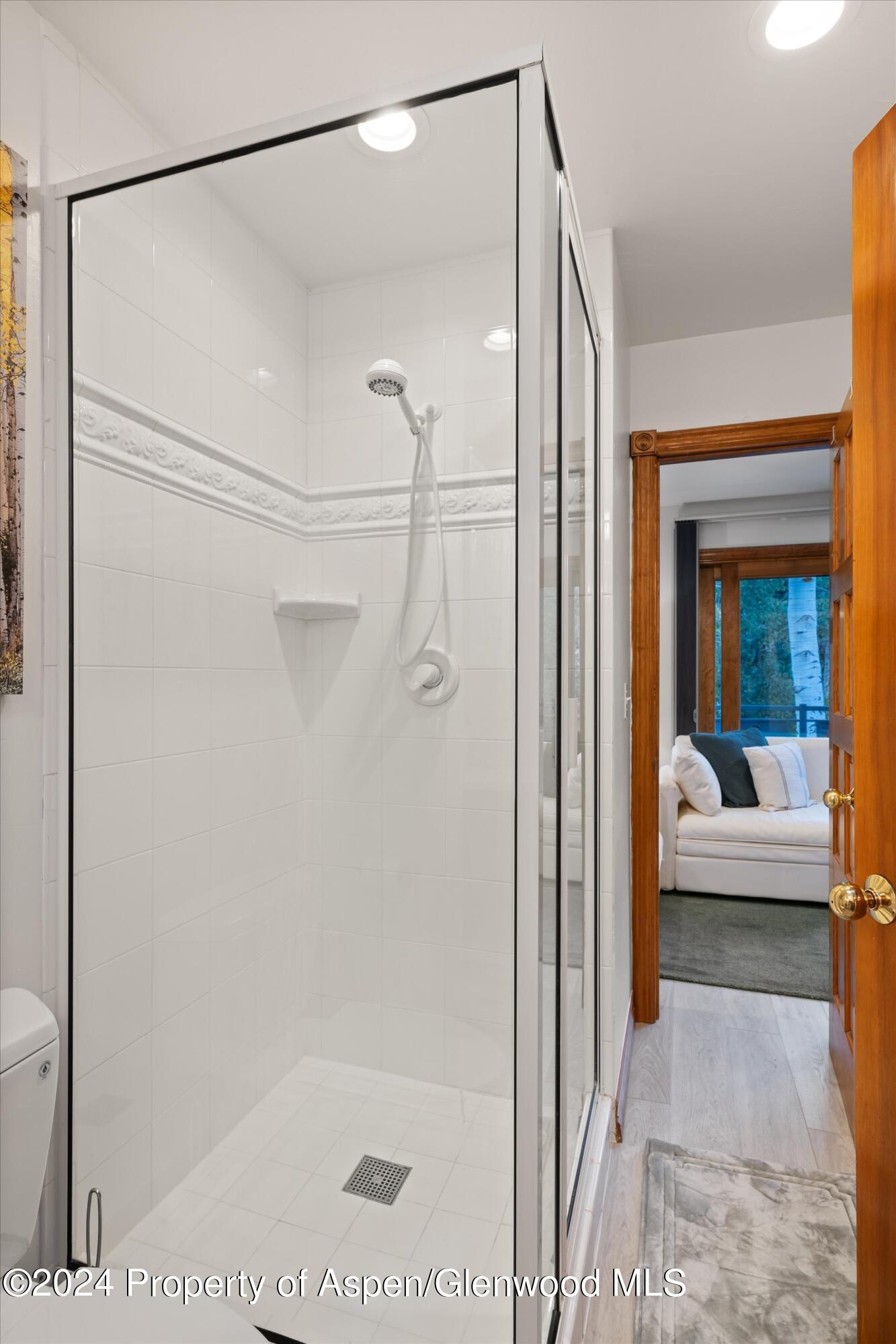 124 E Durant Avenue Aspen CO 81611