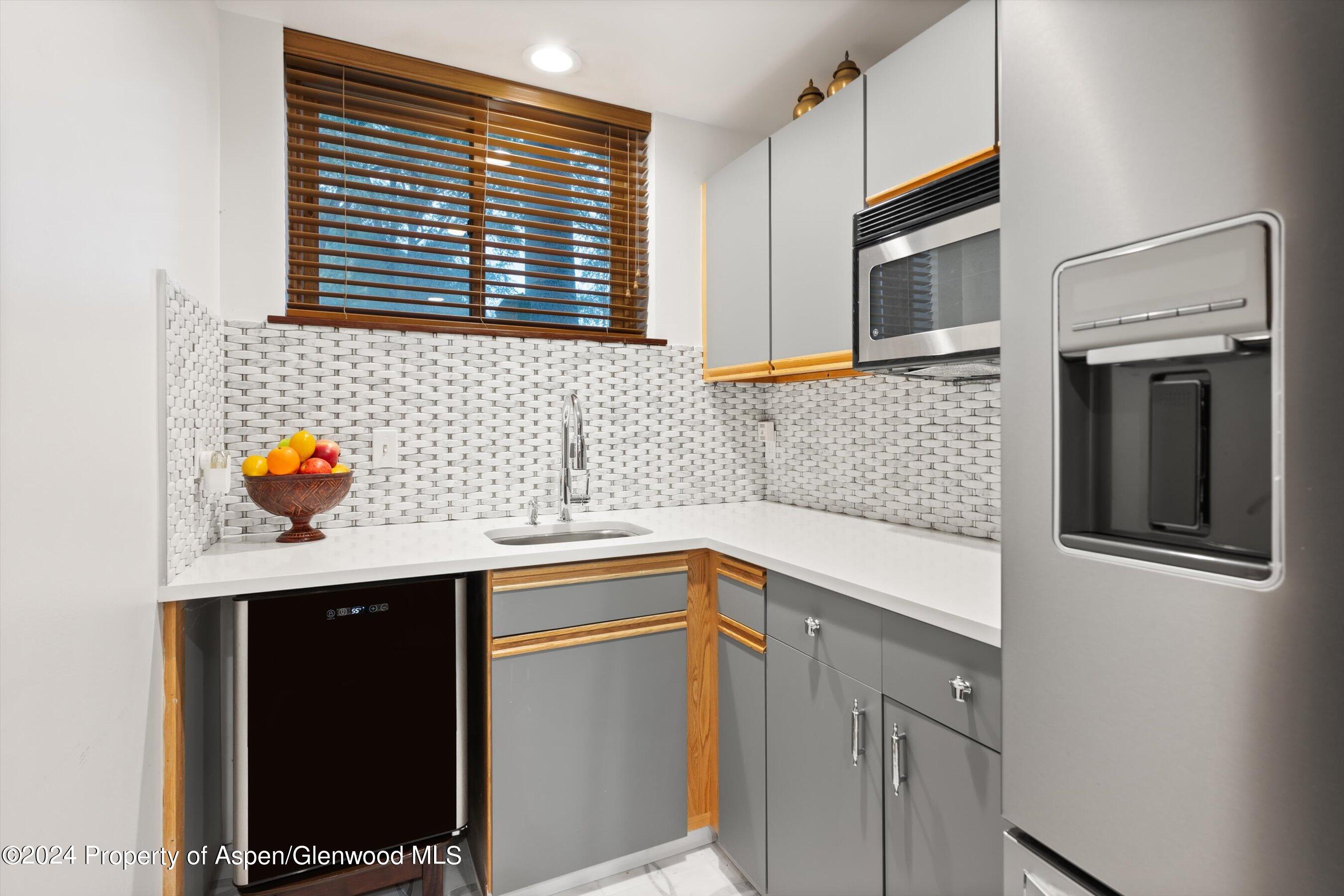 124 E Durant Avenue Aspen CO 81611