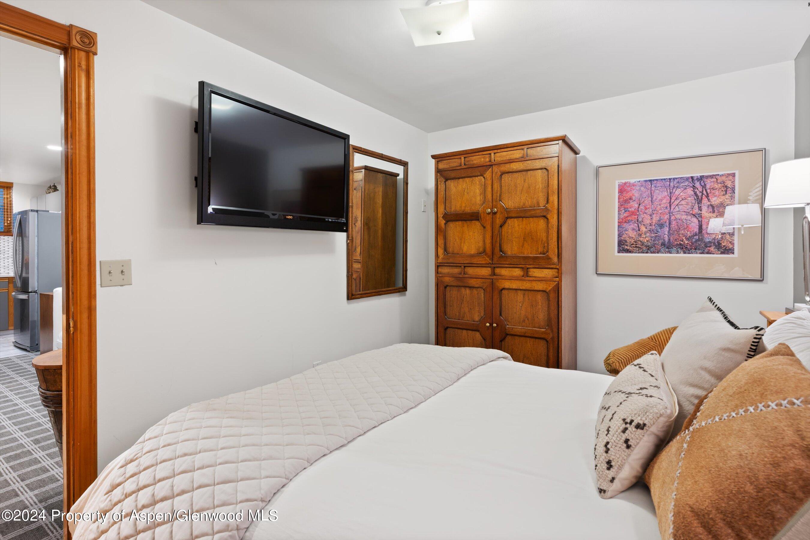 124 E Durant Avenue Aspen CO 81611