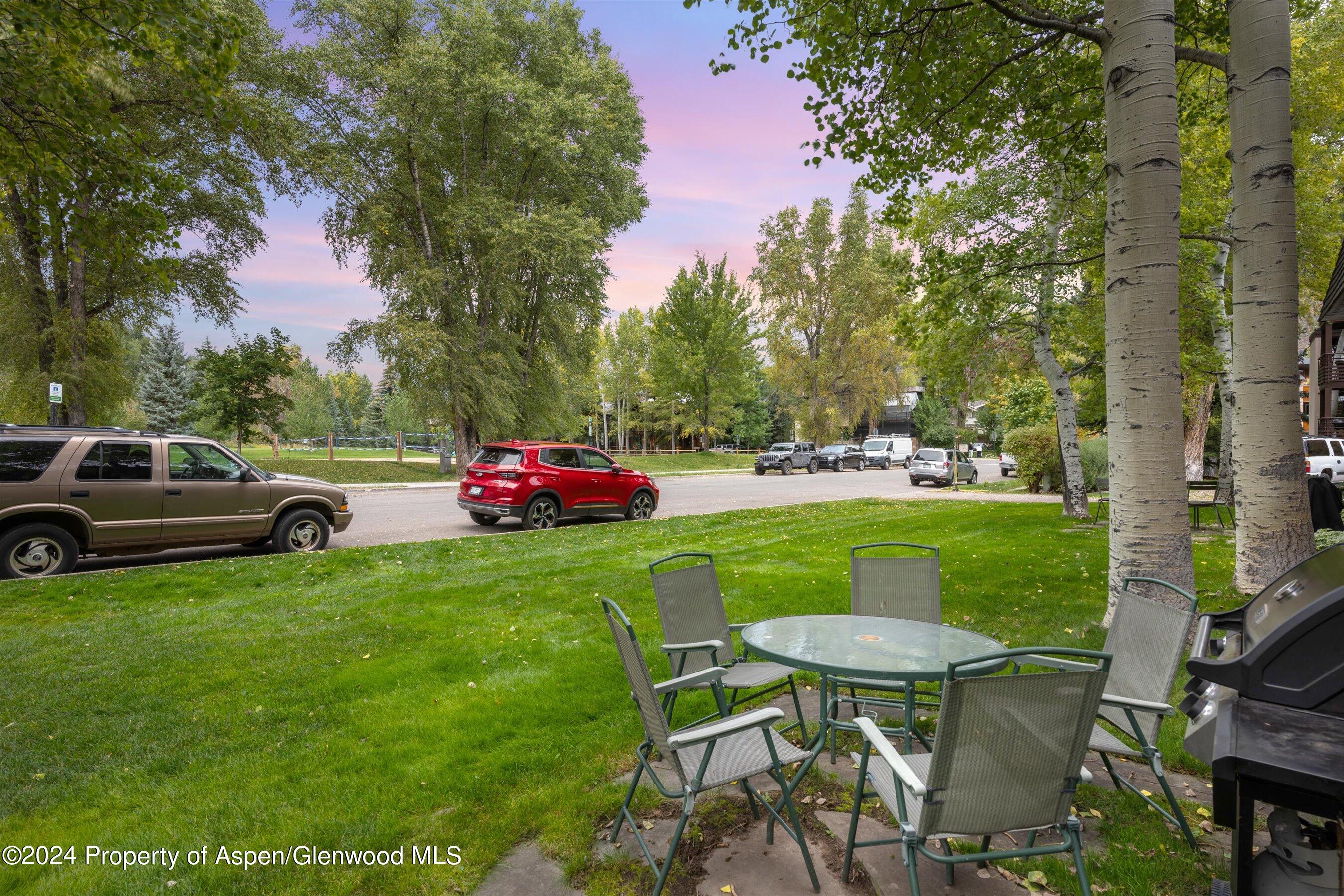 124 E Durant Avenue Aspen CO 81611