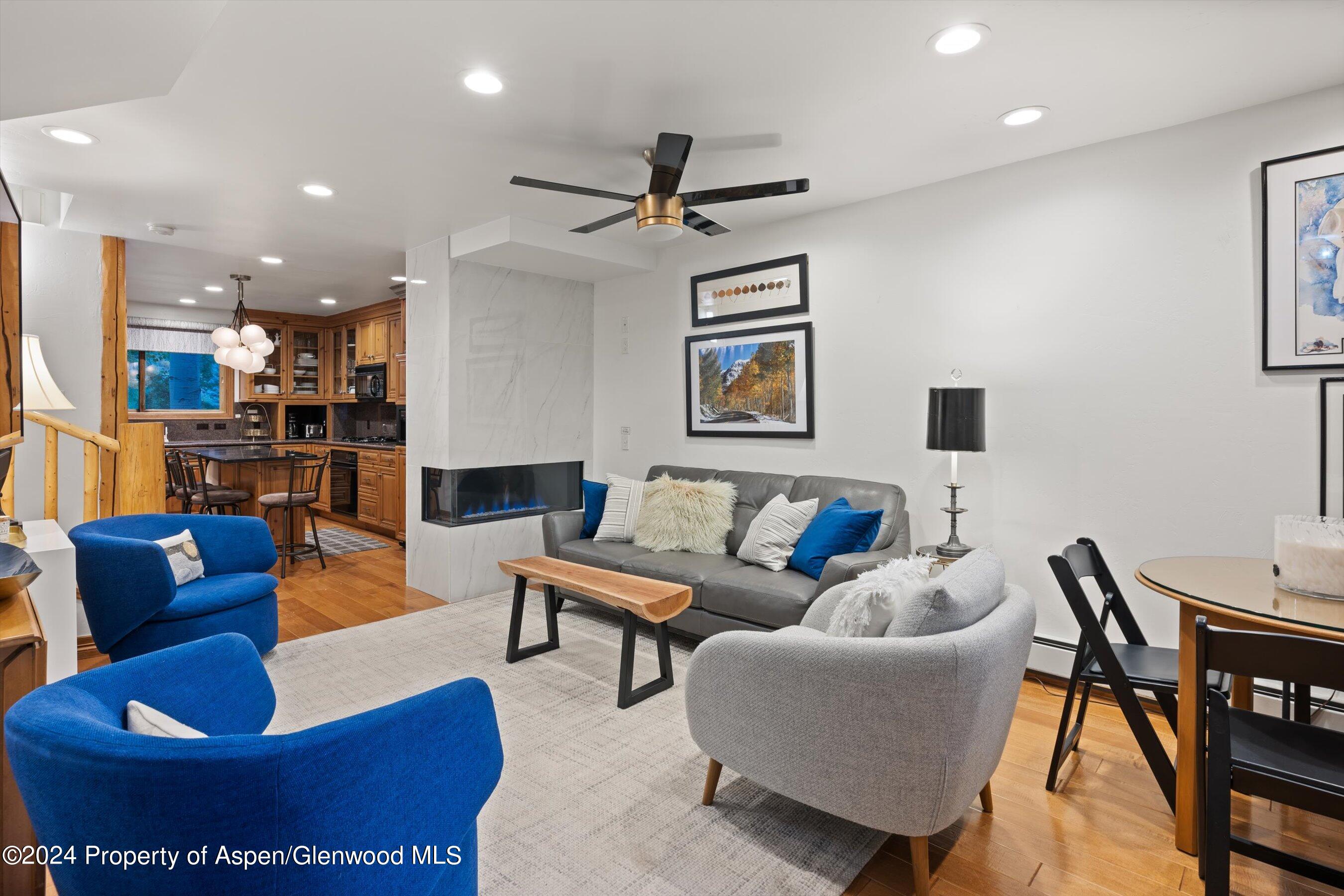 124 E Durant Avenue Aspen CO 81611