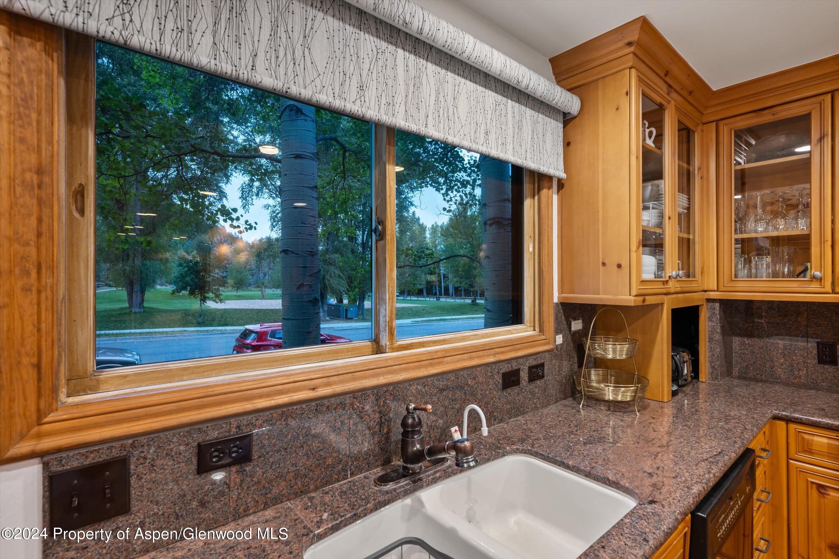 124 E Durant Avenue Aspen CO 81611