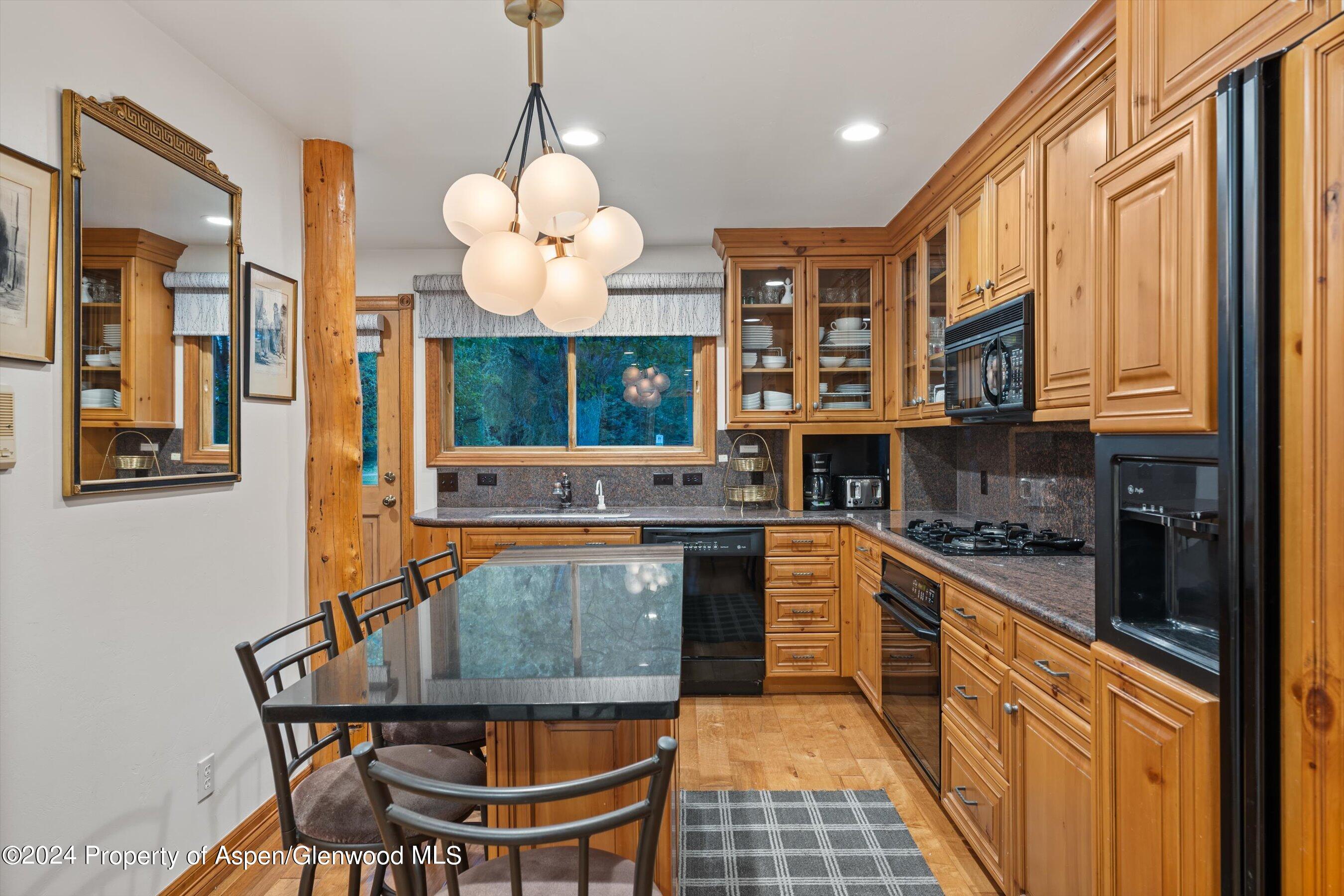 124 E Durant Avenue Aspen CO 81611
