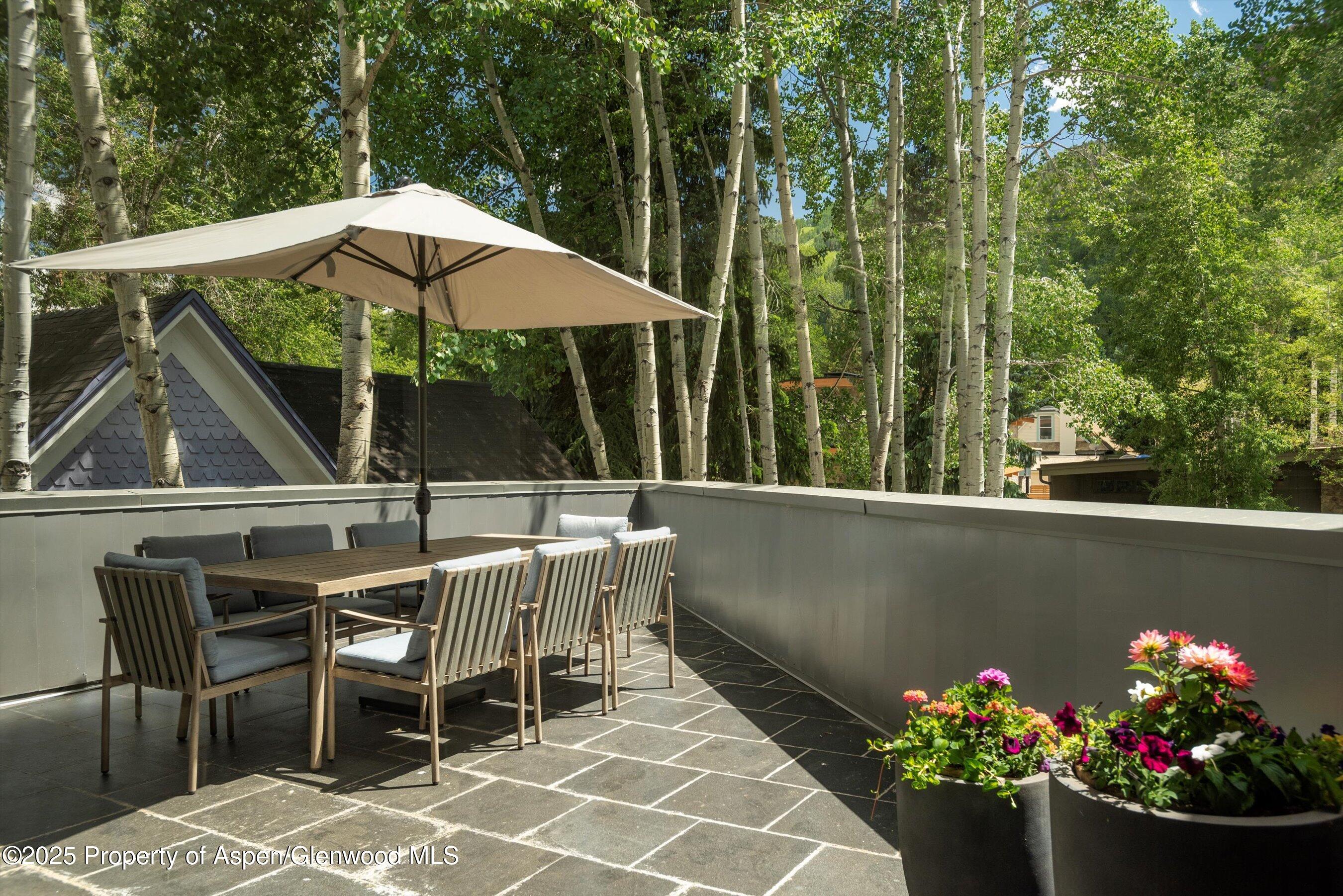 506 W Hallam Street Aspen CO 81611