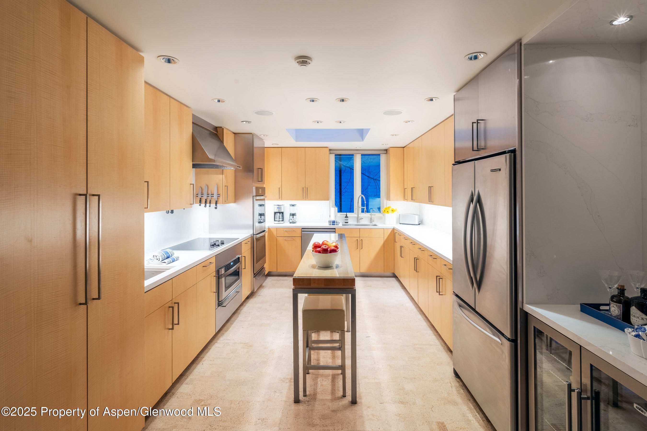 506 W Hallam Street Aspen CO 81611