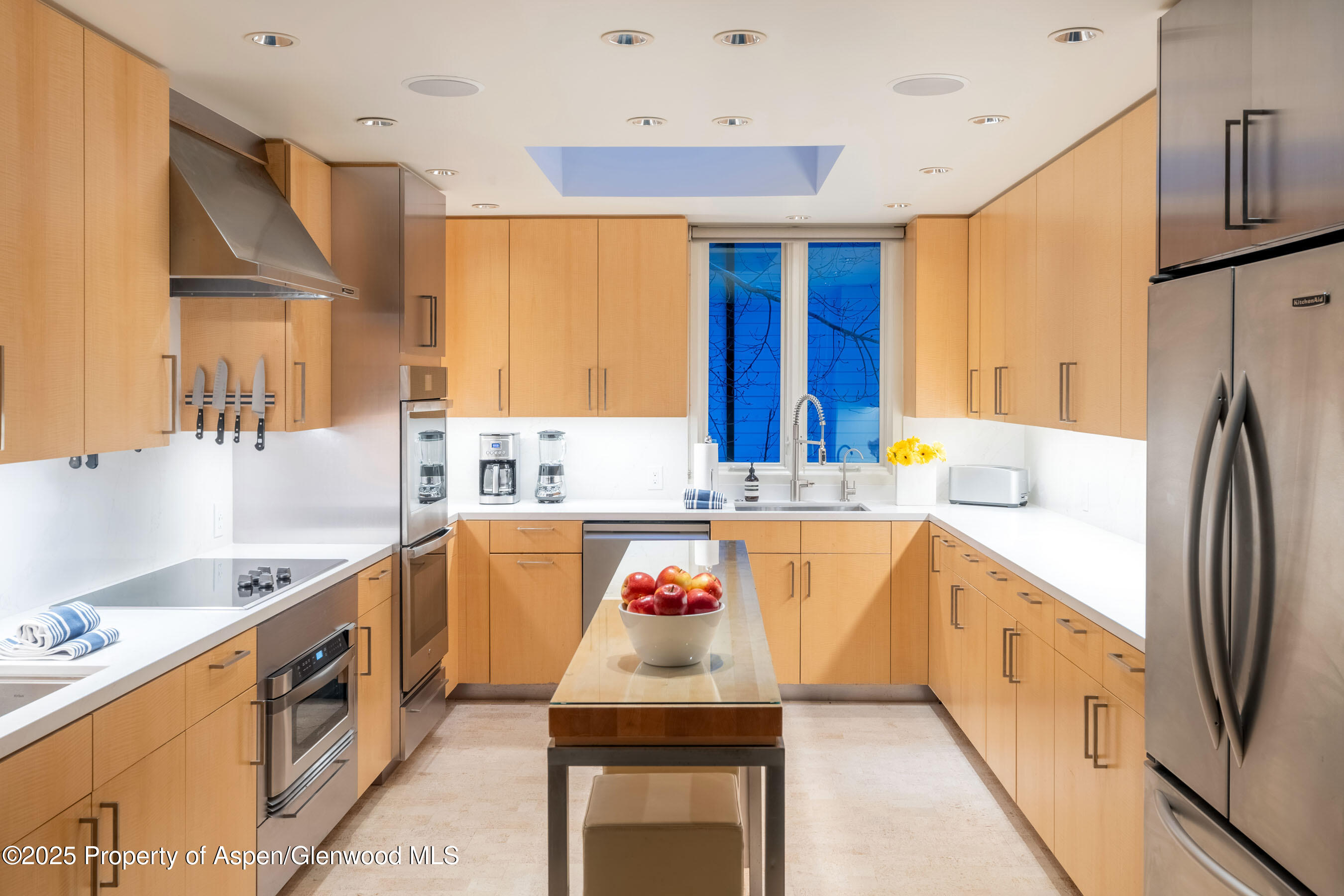 506 W Hallam Street Aspen CO 81611