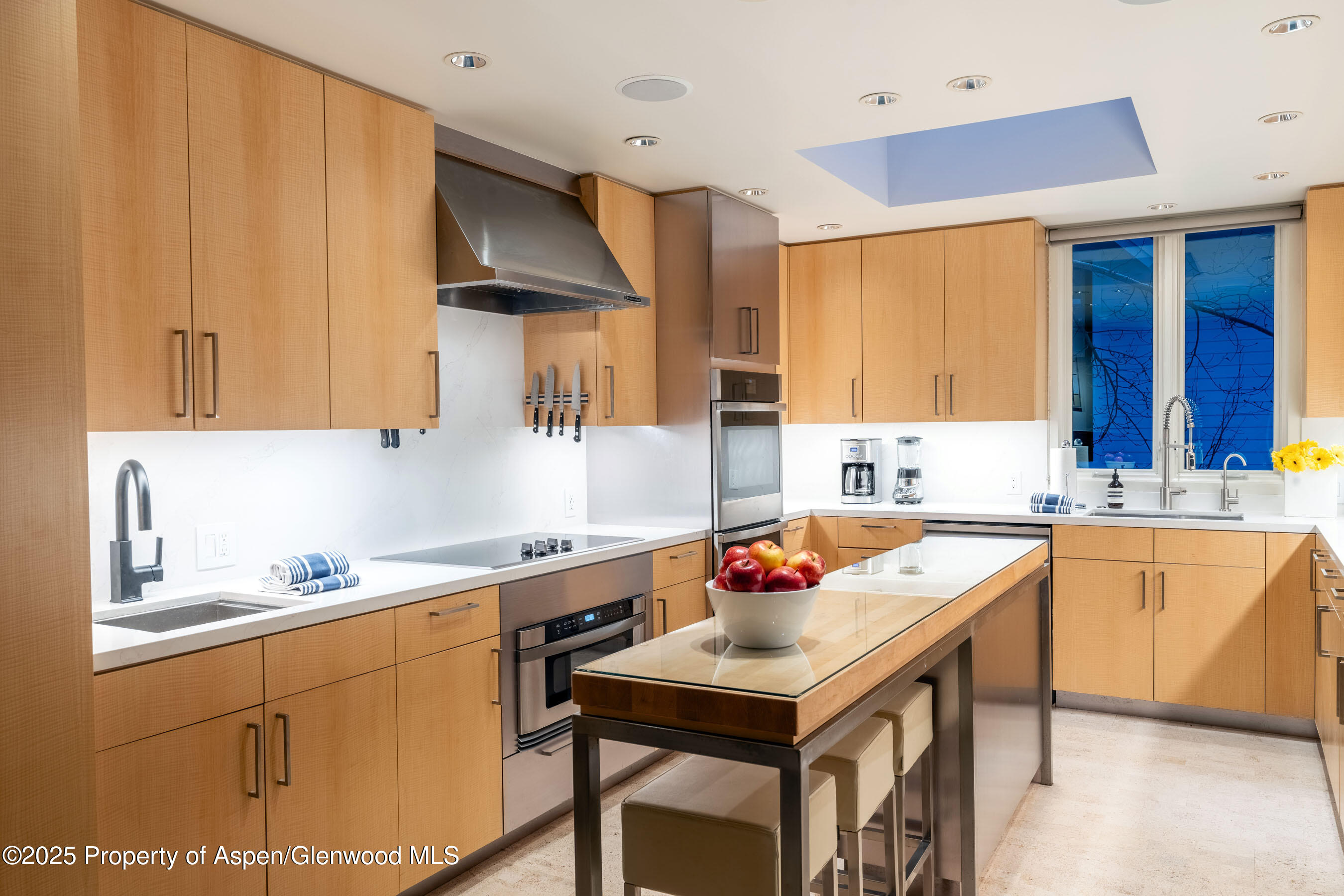 506 W Hallam Street Aspen CO 81611