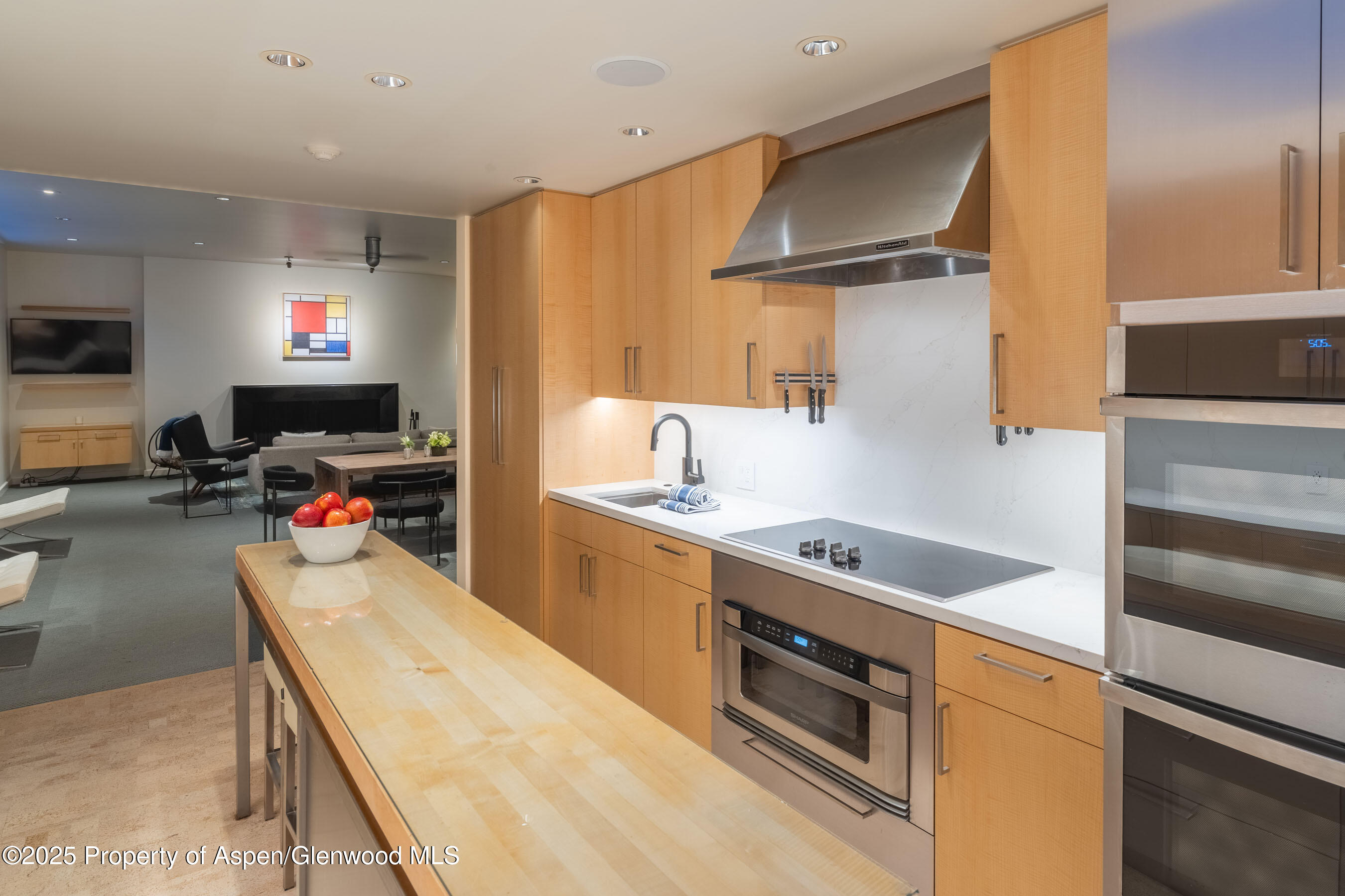 506 W Hallam Street Aspen CO 81611