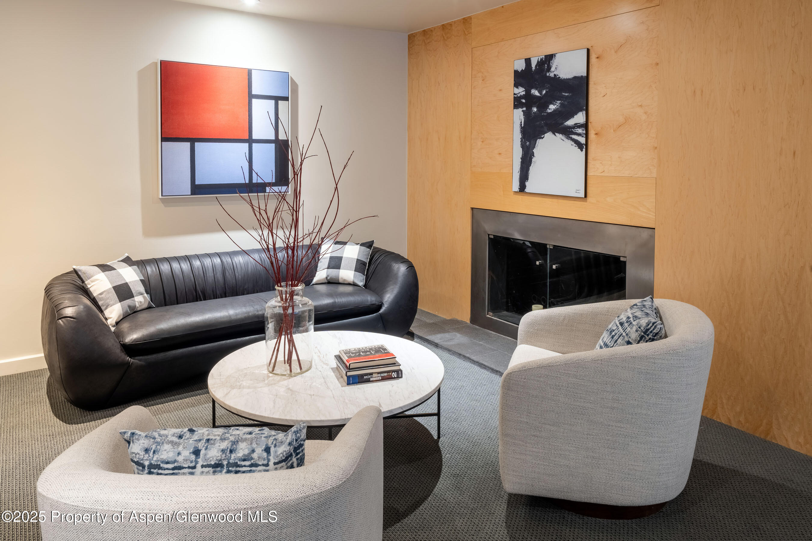 506 W Hallam Street Aspen CO 81611