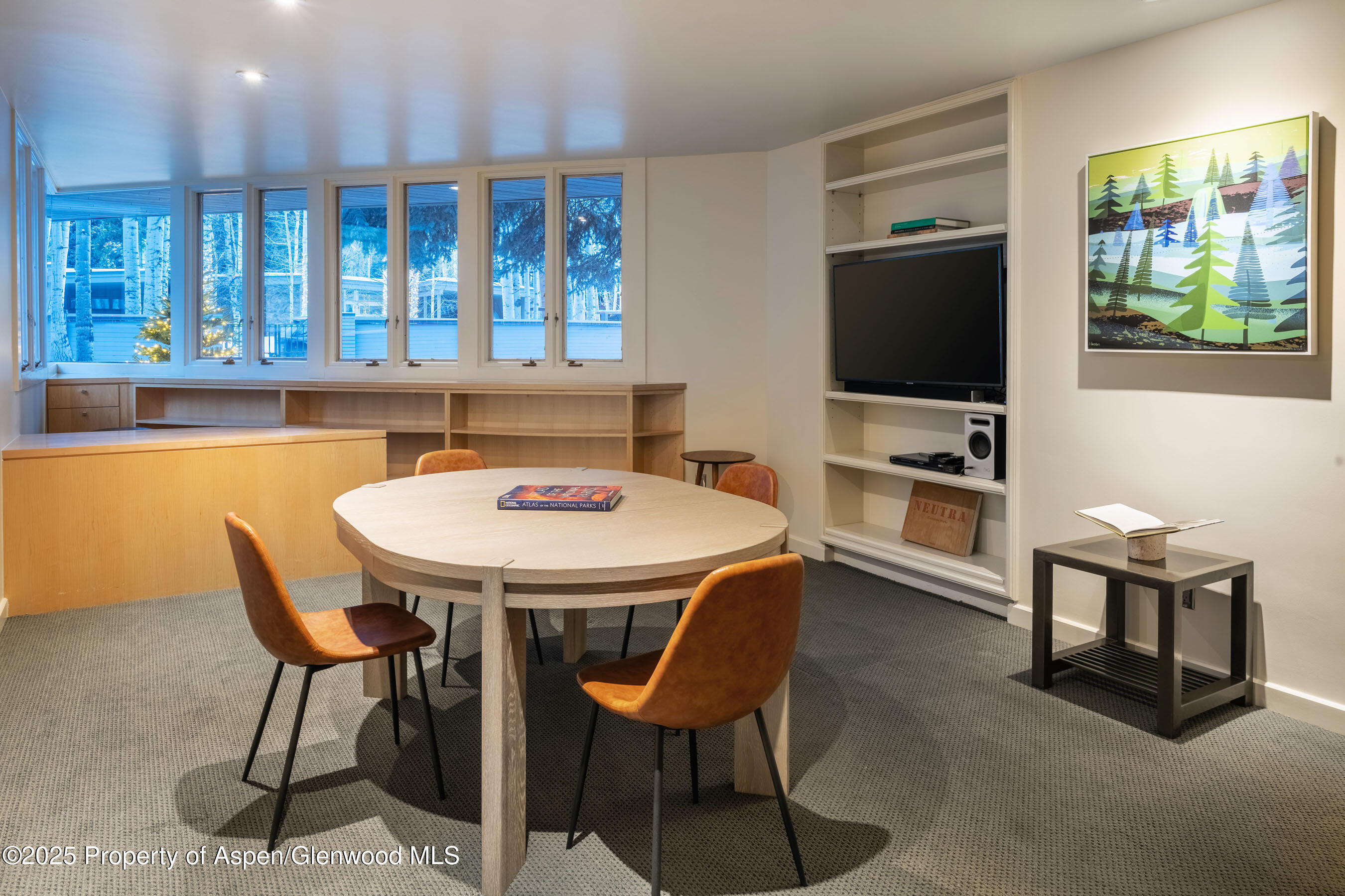 506 W Hallam Street Aspen CO 81611