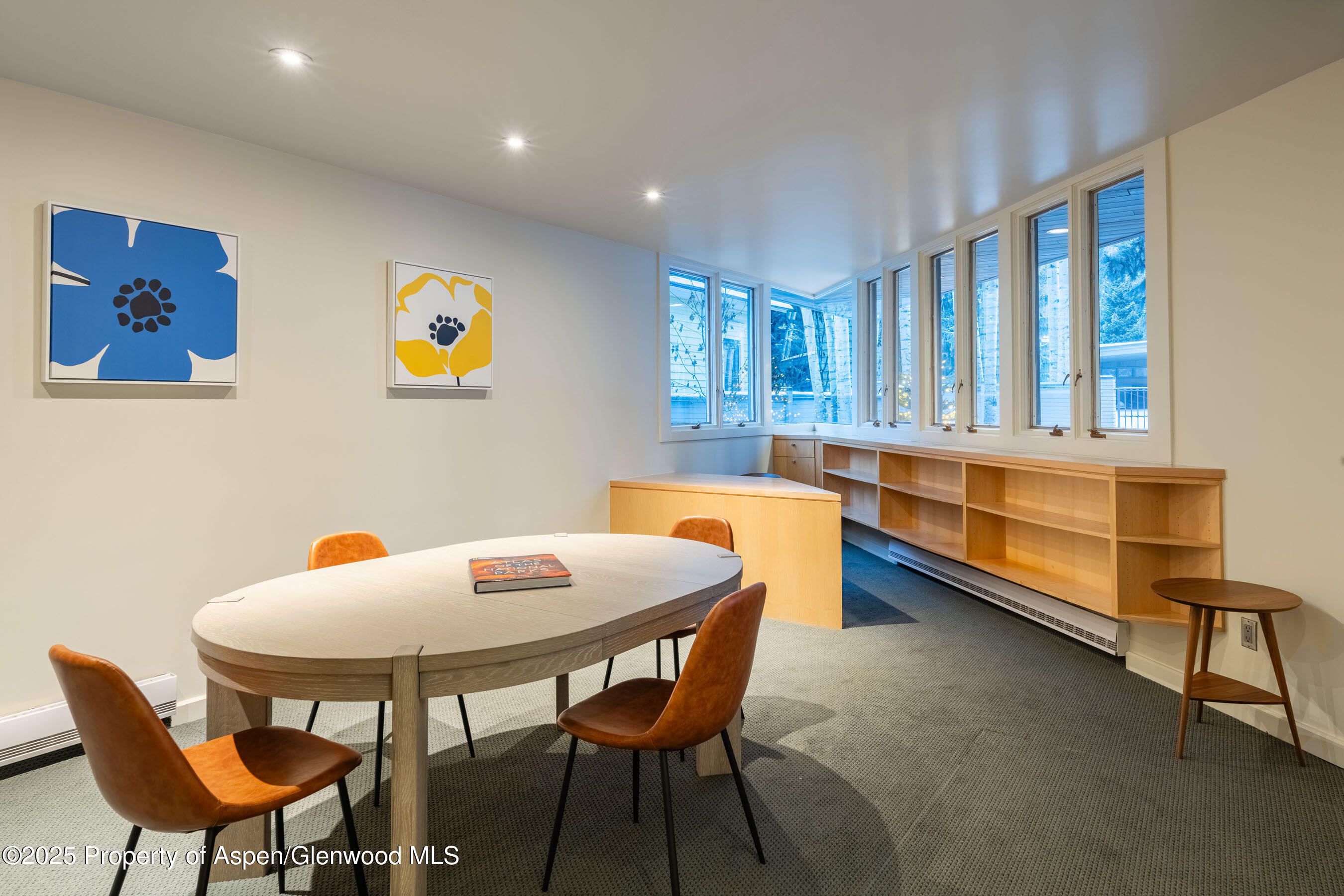 506 W Hallam Street Aspen CO 81611