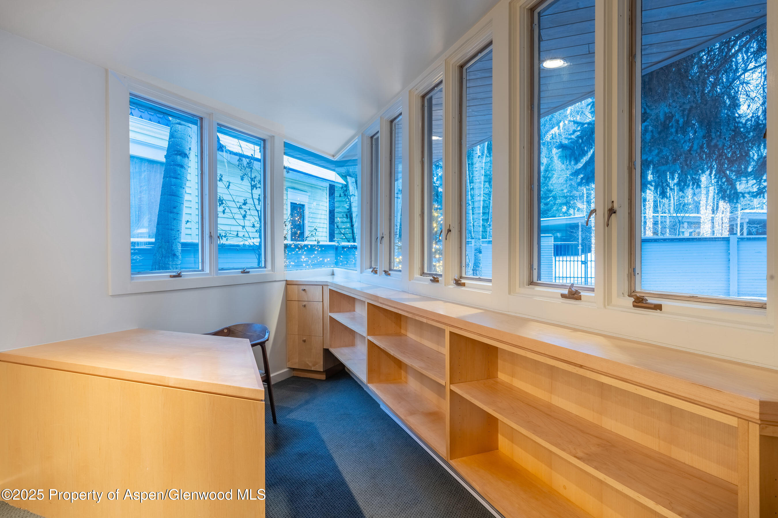 506 W Hallam Street Aspen CO 81611