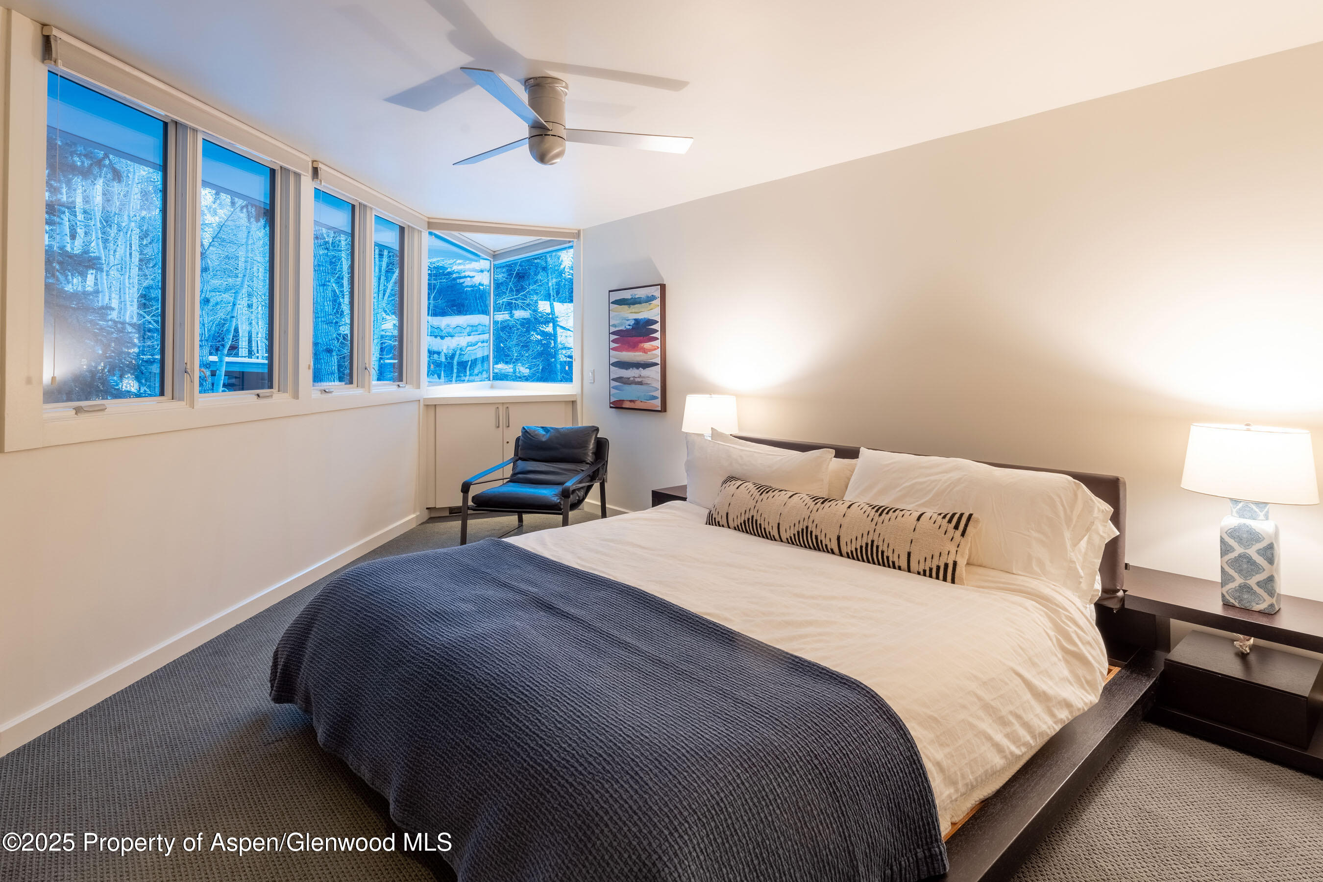 506 W Hallam Street Aspen CO 81611