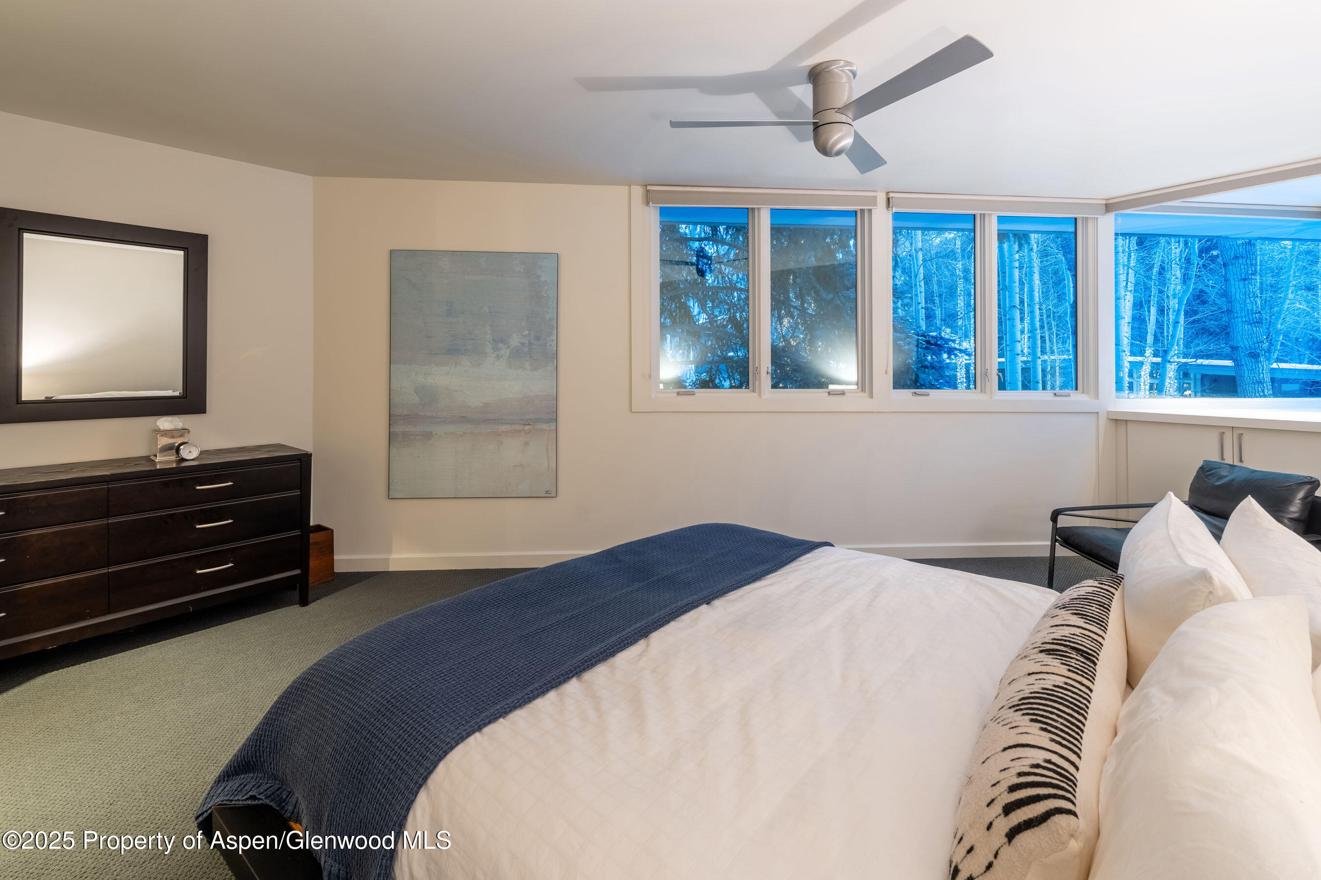 506 W Hallam Street Aspen CO 81611