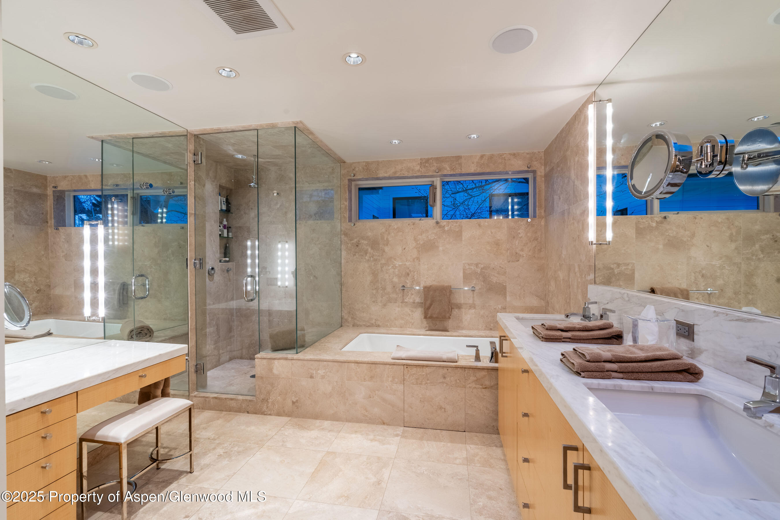 506 W Hallam Street Aspen CO 81611