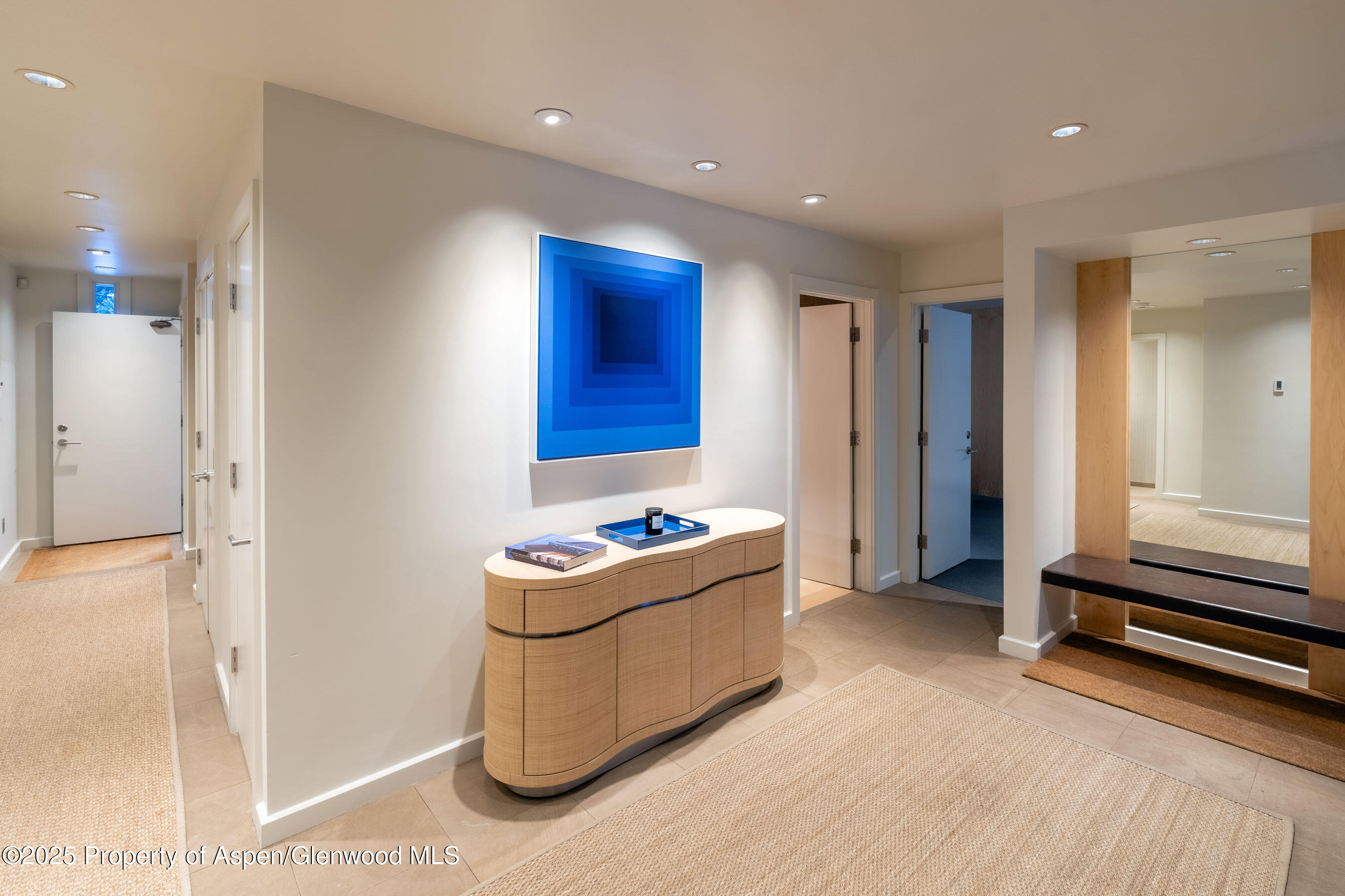 506 W Hallam Street Aspen CO 81611