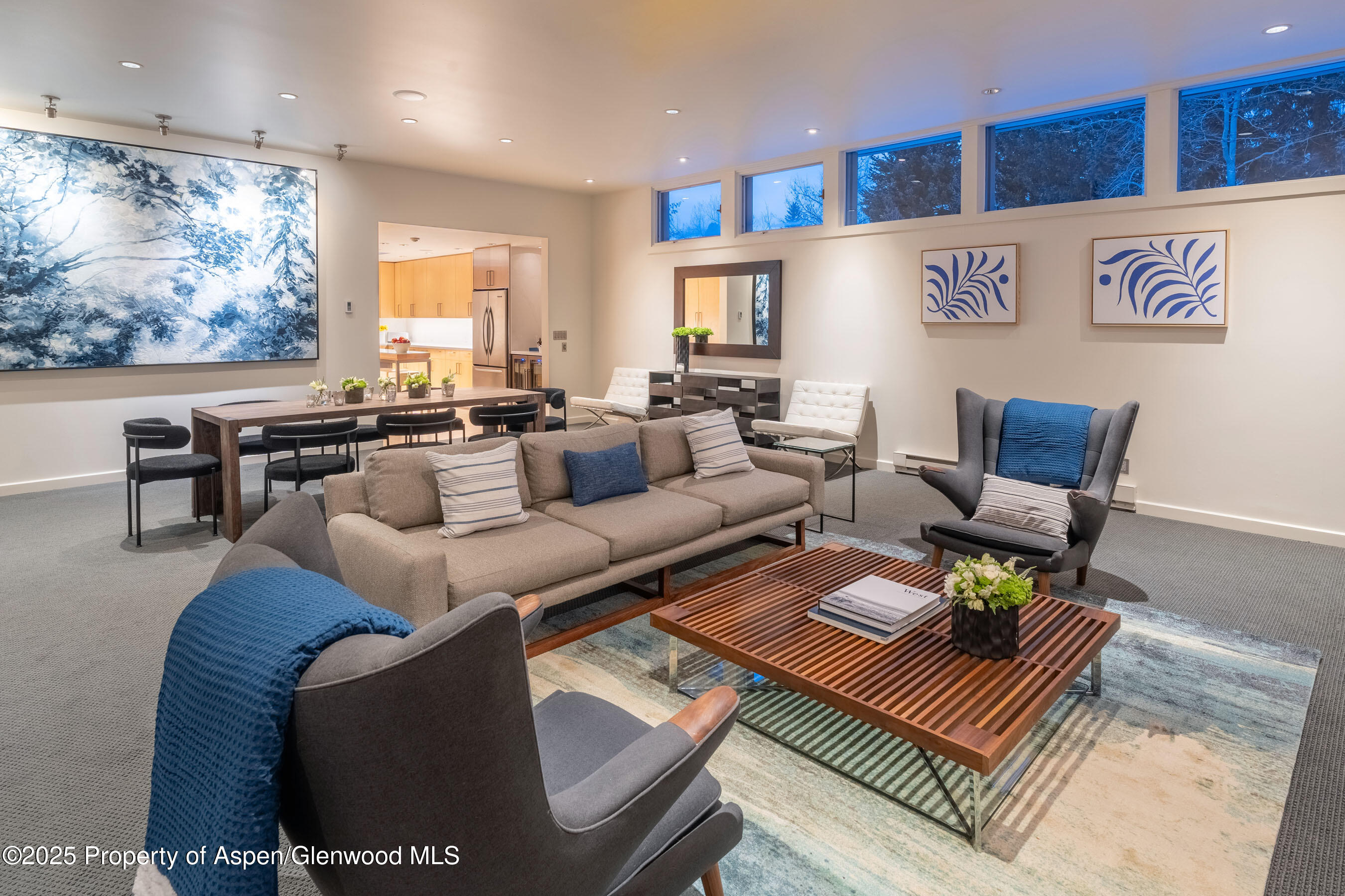 506 W Hallam Street Aspen CO 81611