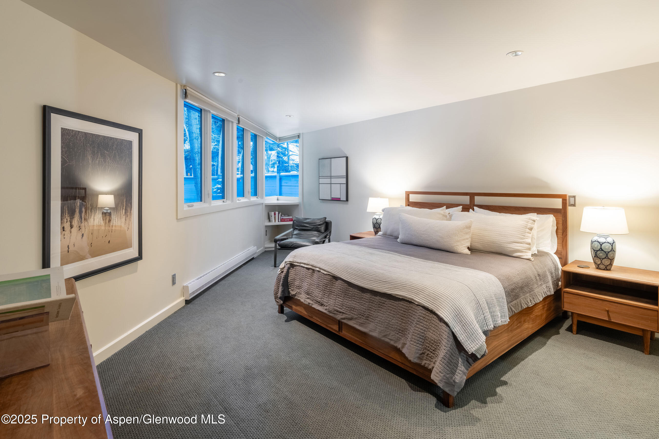 506 W Hallam Street Aspen CO 81611