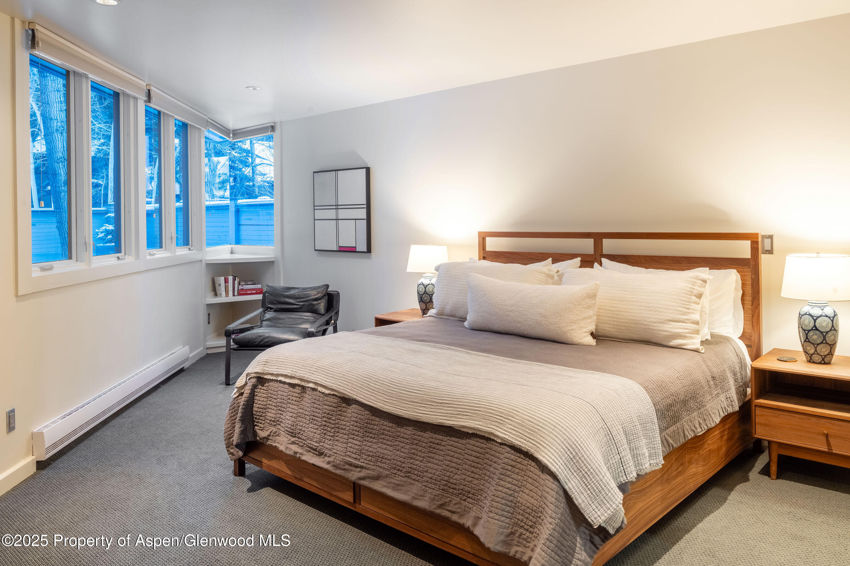 506 W Hallam Street Aspen CO 81611