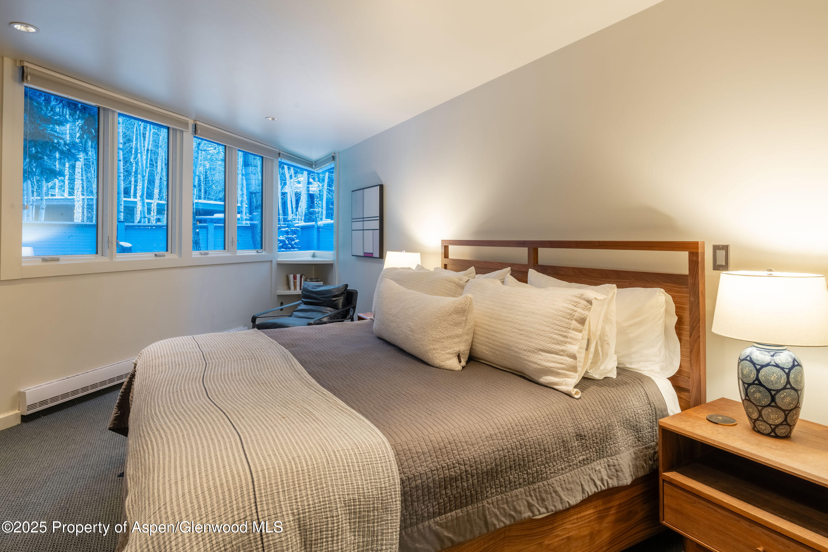 506 W Hallam Street Aspen CO 81611