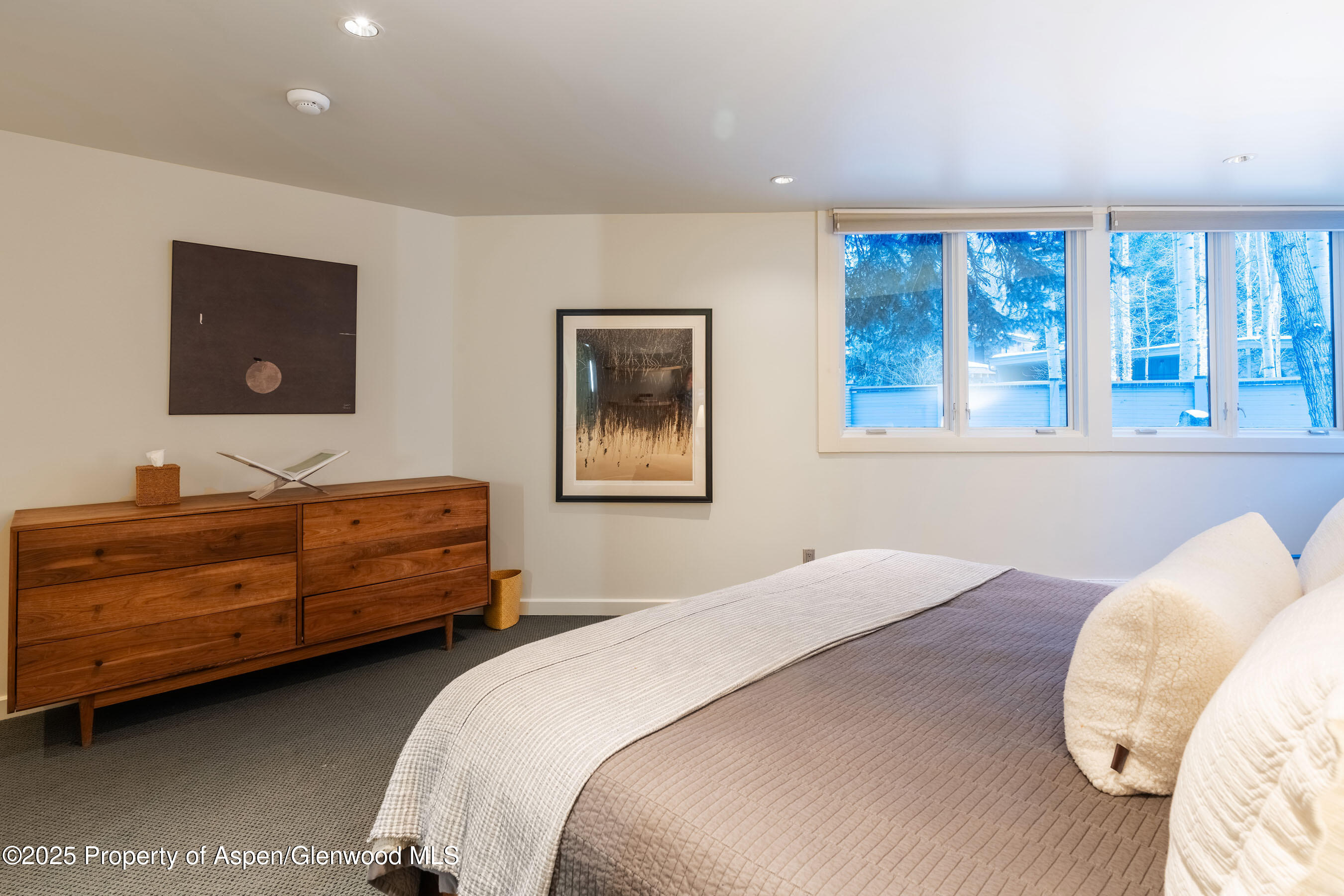 506 W Hallam Street Aspen CO 81611