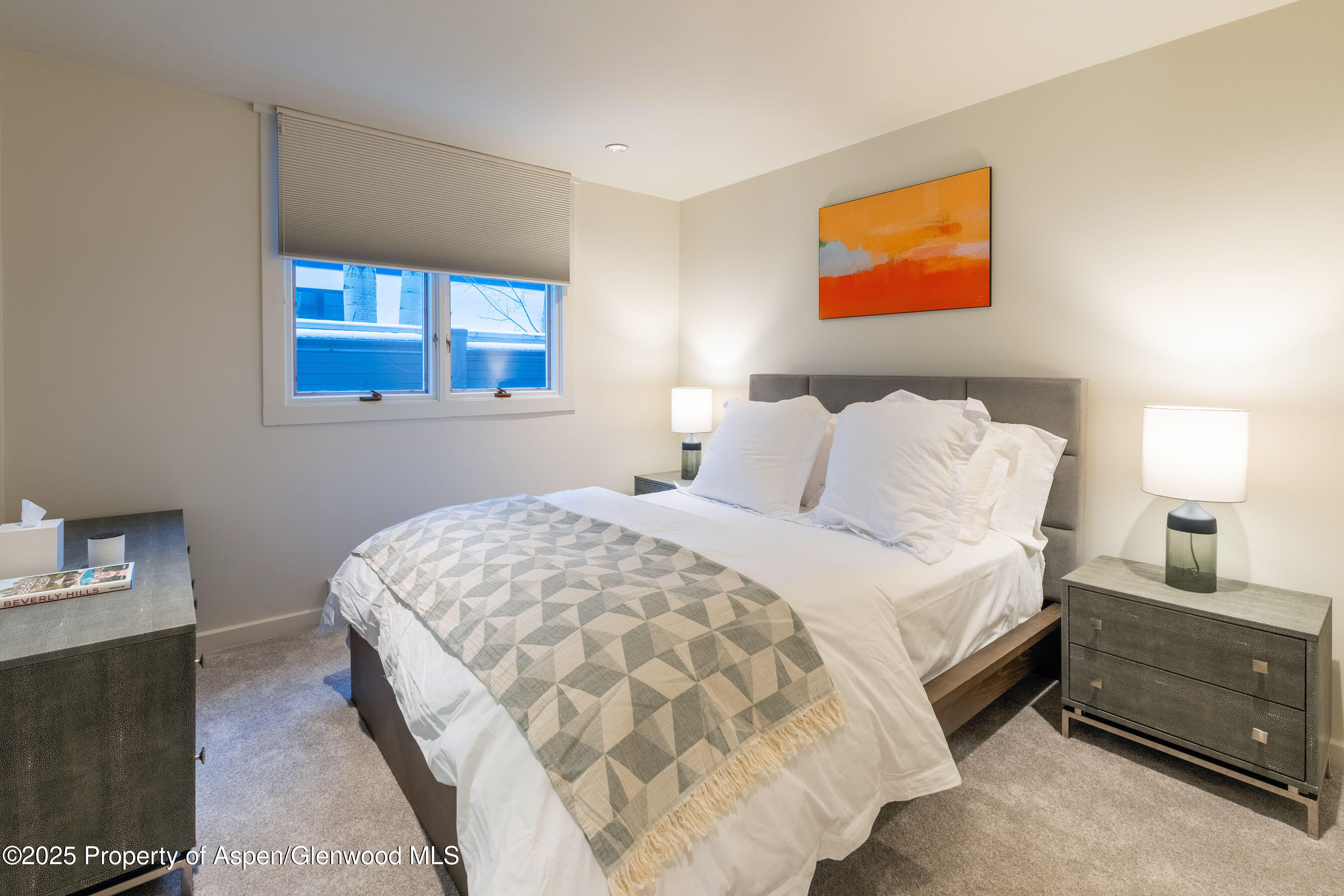 506 W Hallam Street Aspen CO 81611