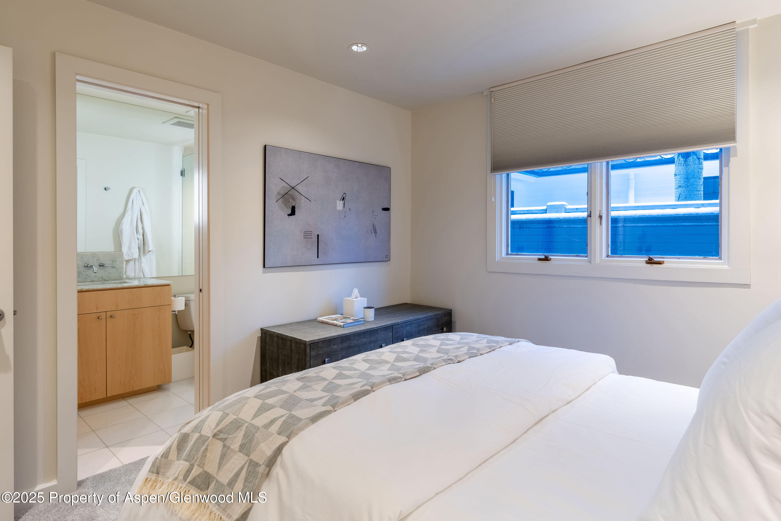 506 W Hallam Street Aspen CO 81611