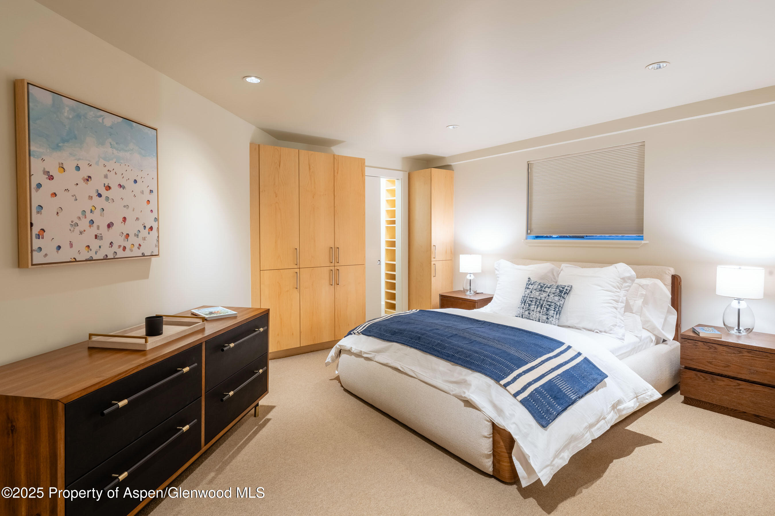 506 W Hallam Street Aspen CO 81611