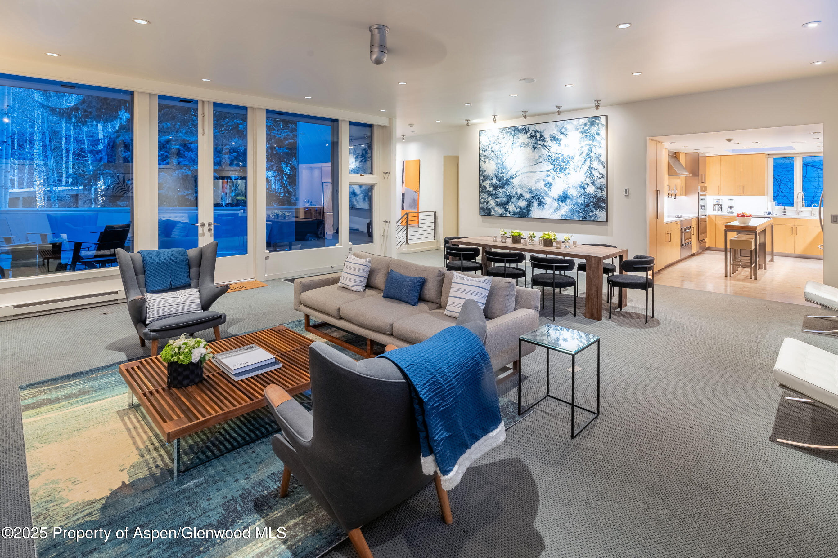 506 W Hallam Street Aspen CO 81611