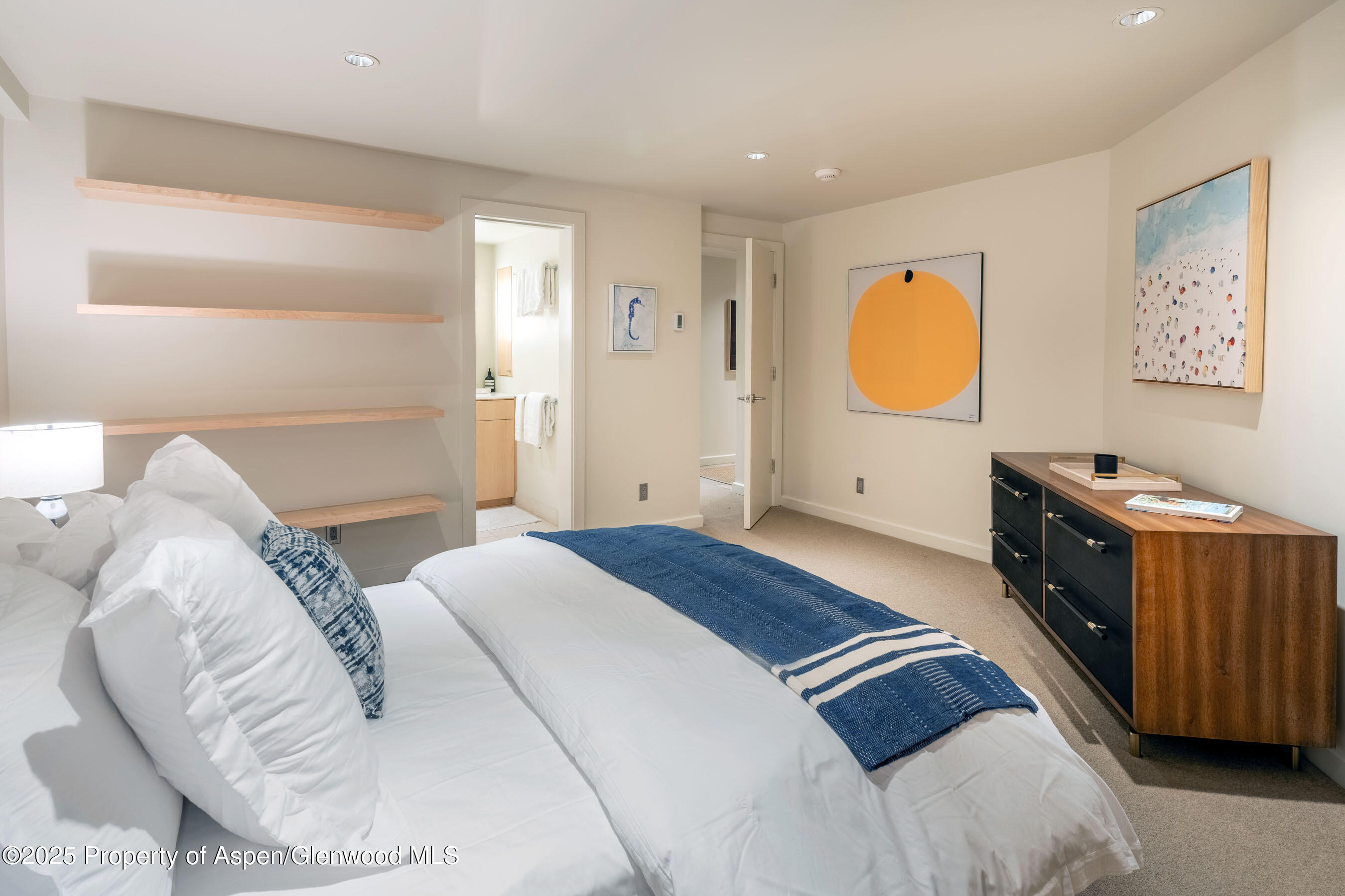 506 W Hallam Street Aspen CO 81611