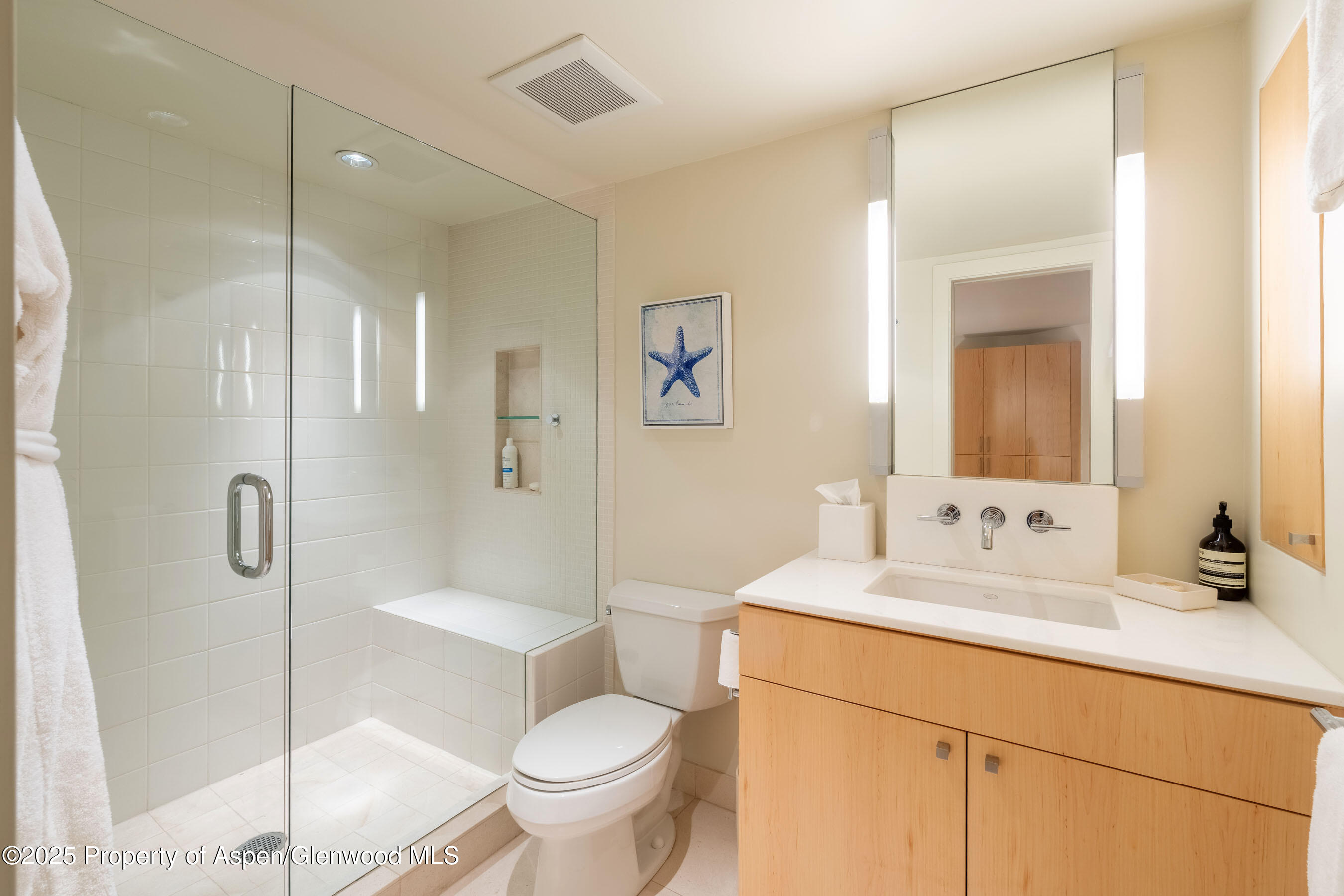 506 W Hallam Street Aspen CO 81611