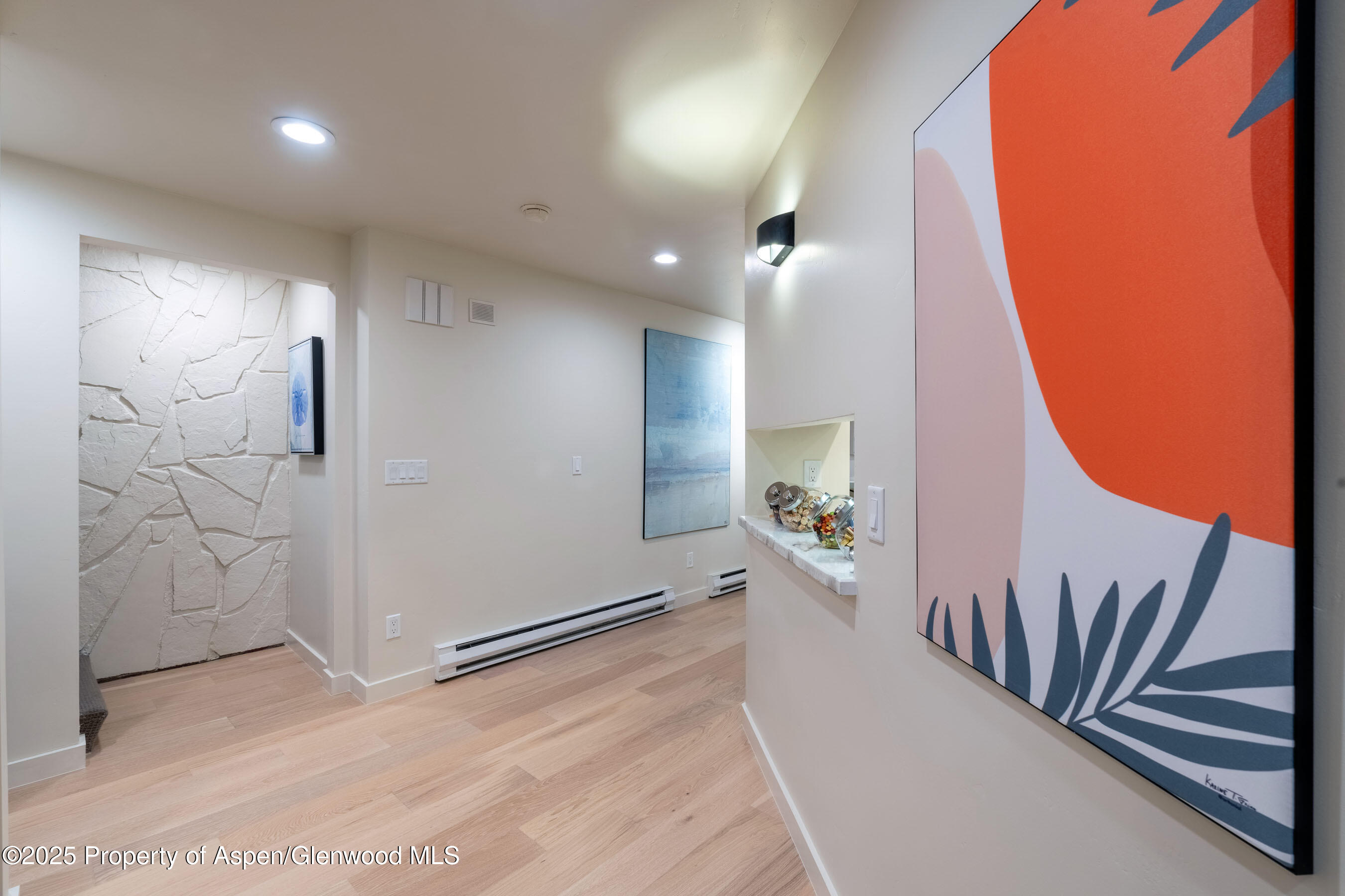 506 W Hallam Street Aspen CO 81611