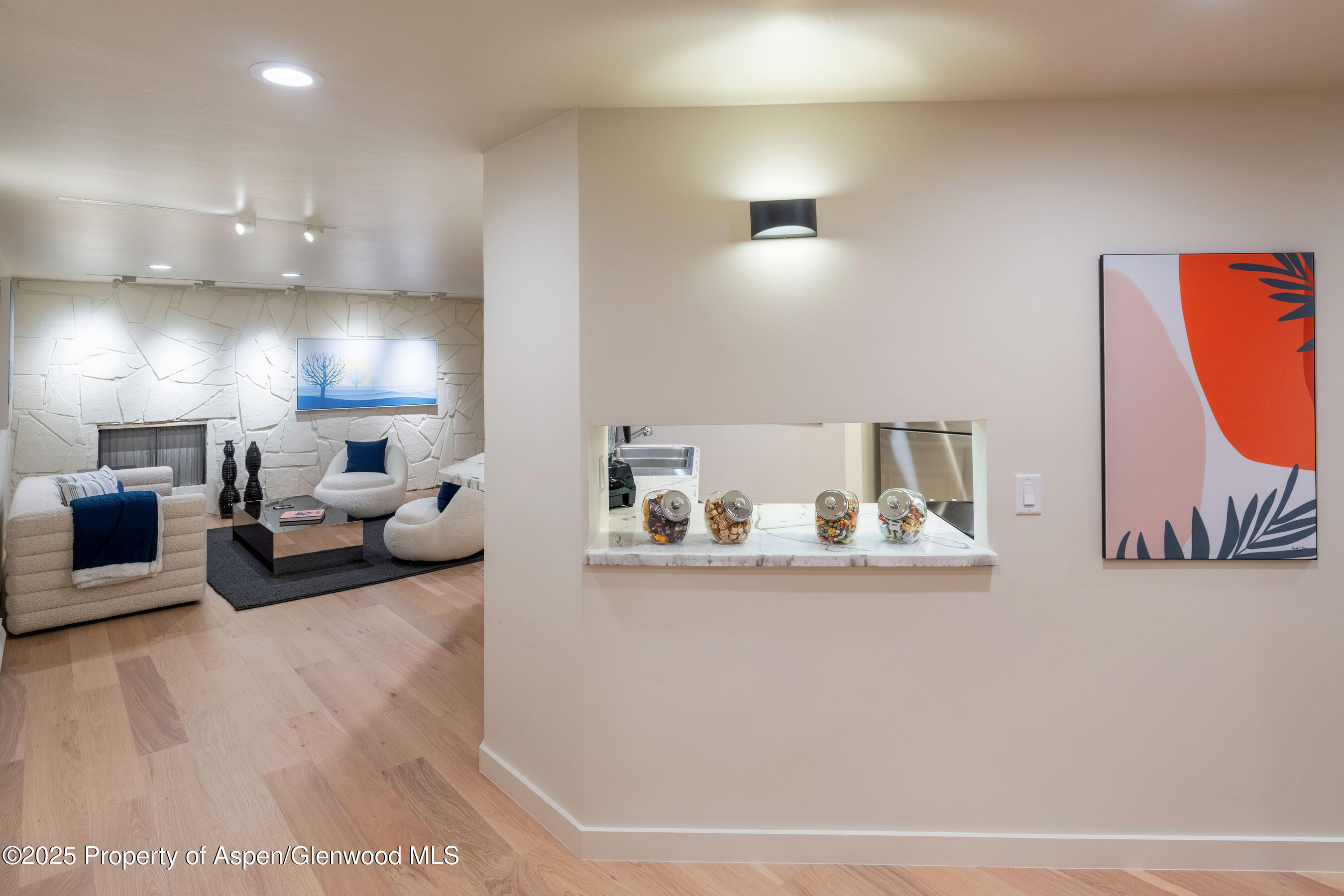 506 W Hallam Street Aspen CO 81611