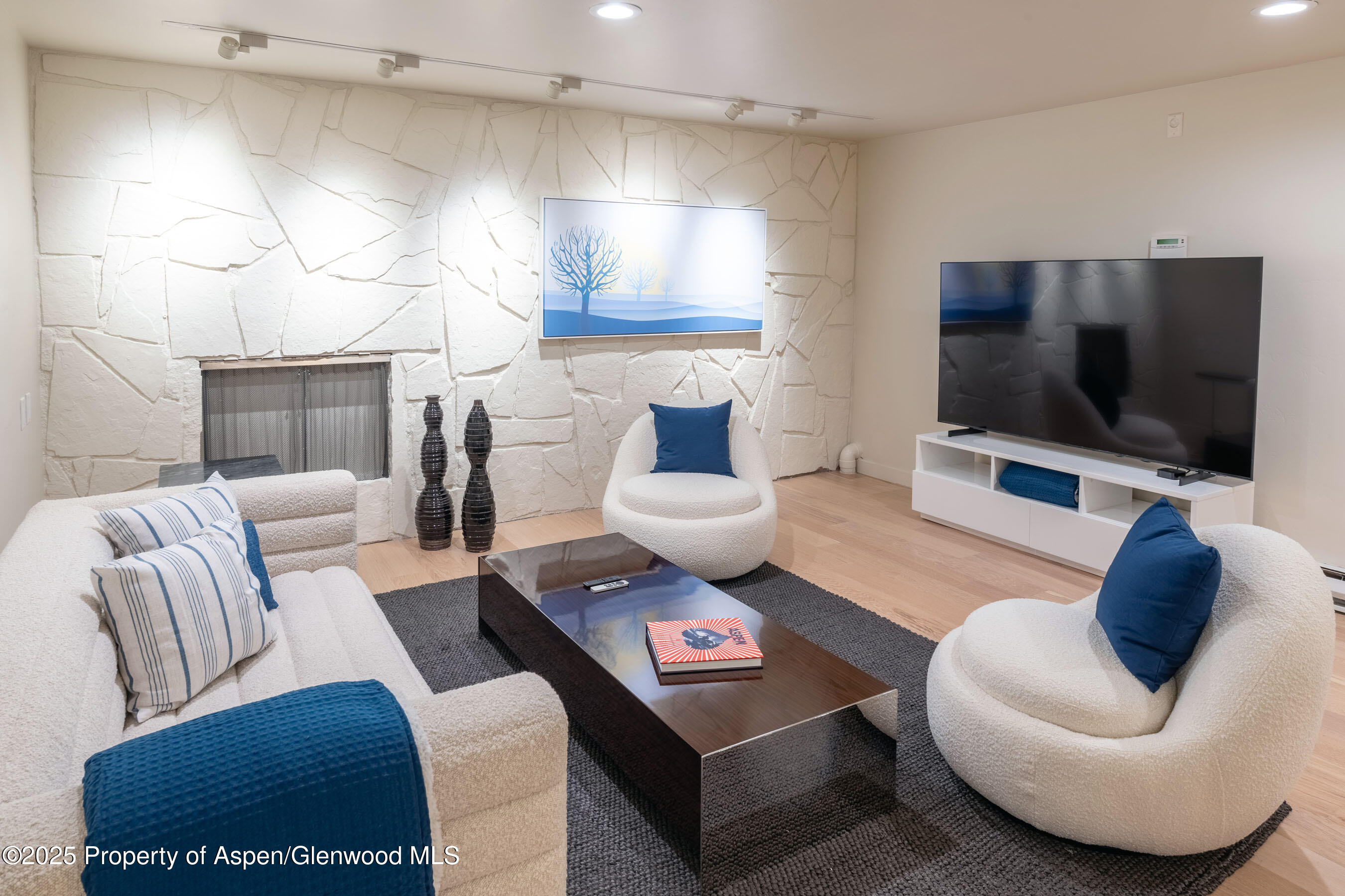 506 W Hallam Street Aspen CO 81611