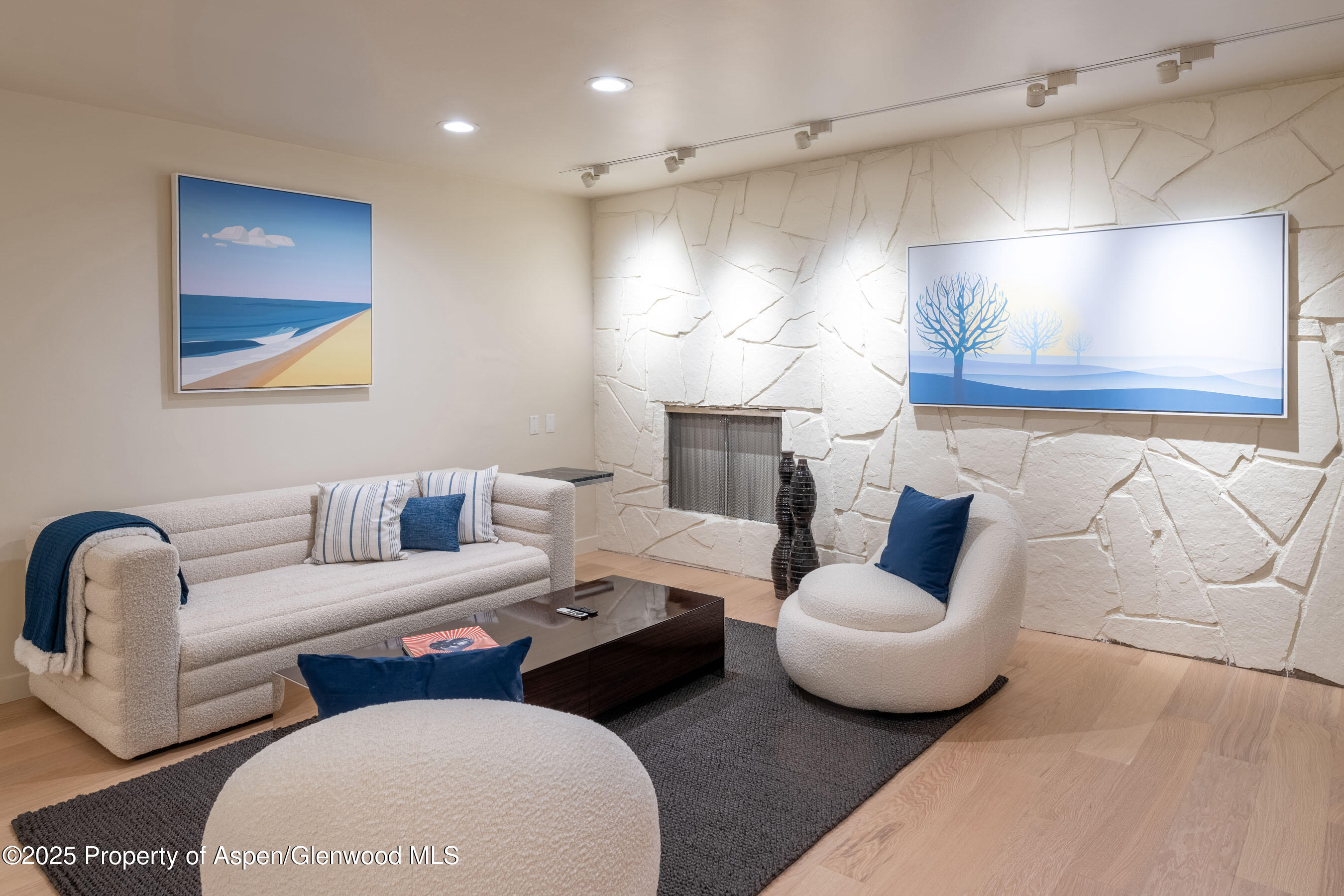 506 W Hallam Street Aspen CO 81611